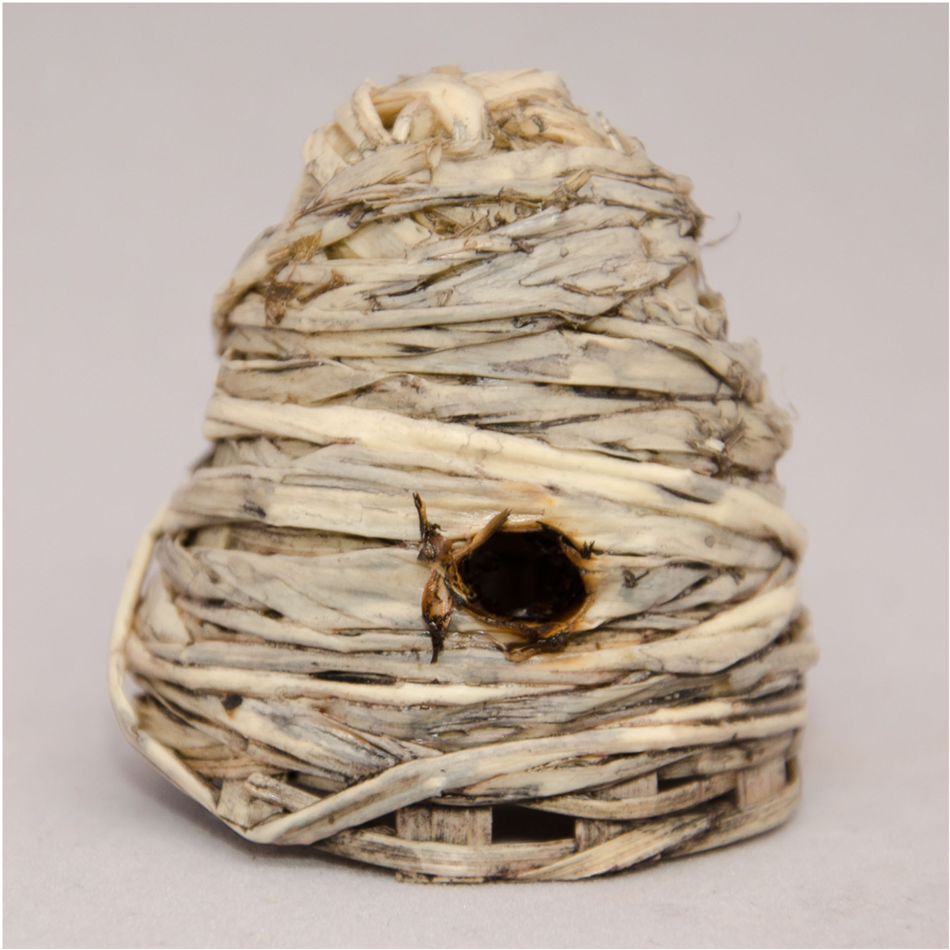 Holz, Nest