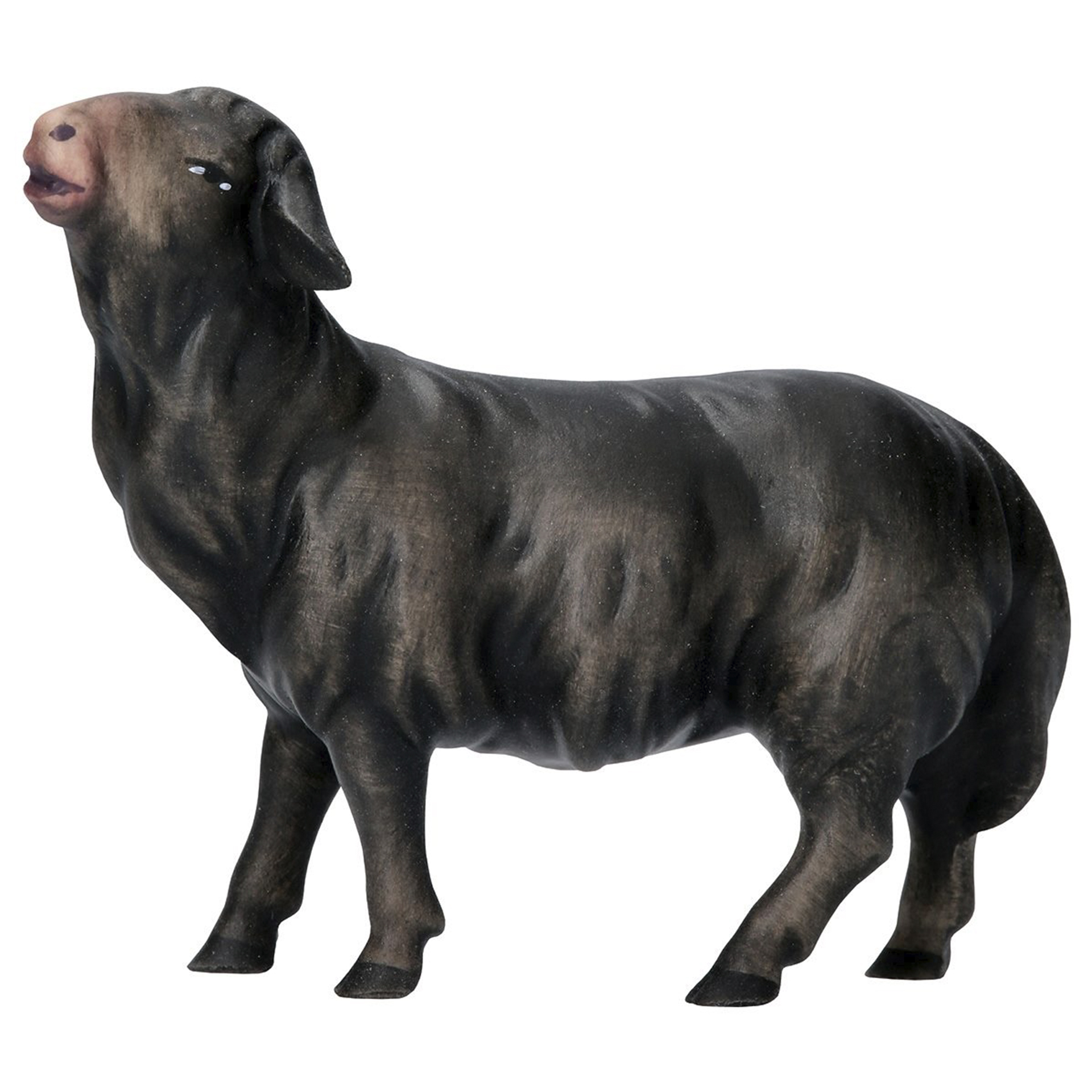 Schwarzes Schaf stehend aus der Serie der Komet Krippe