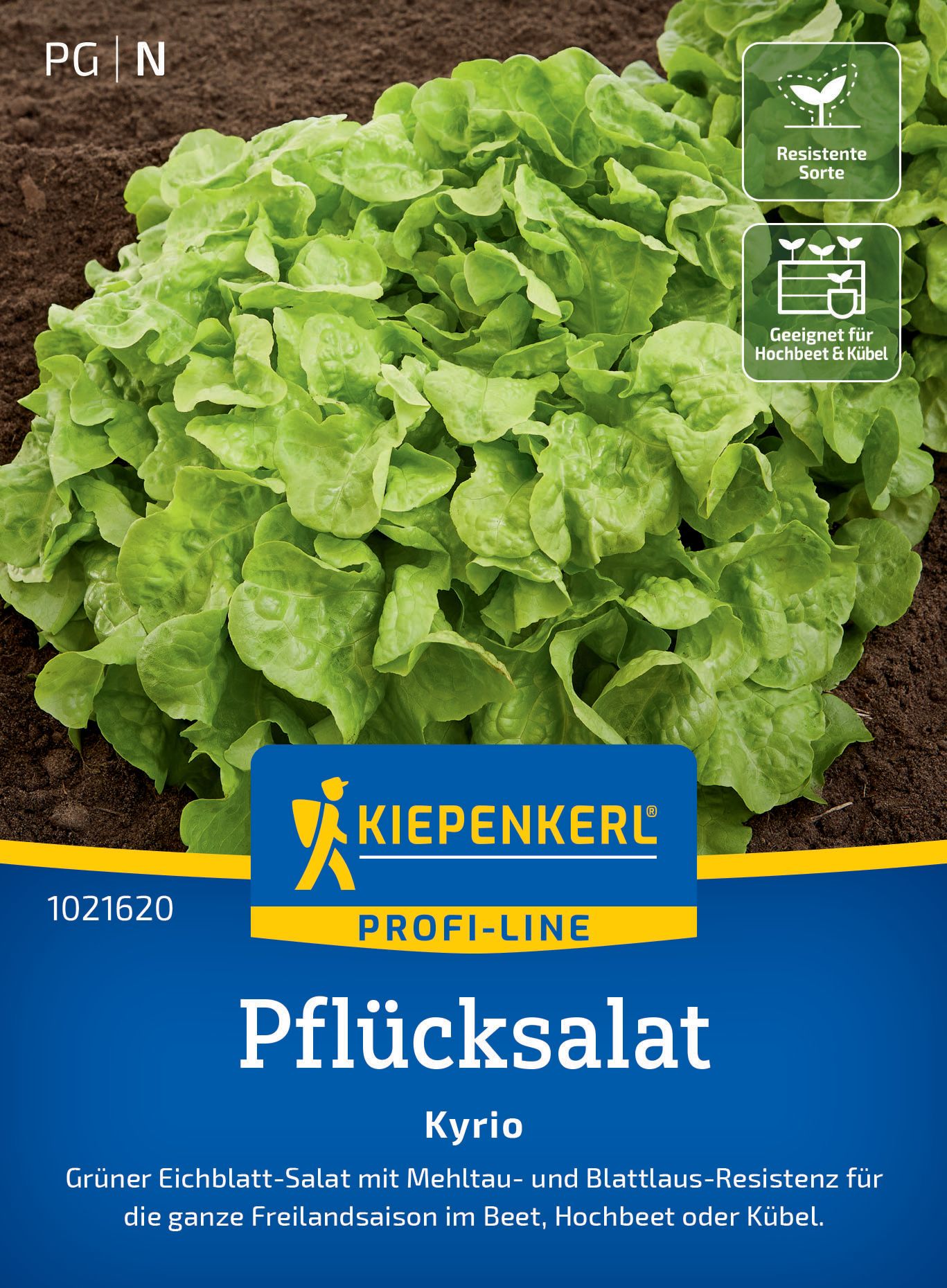 Pflücksalat Kyrio