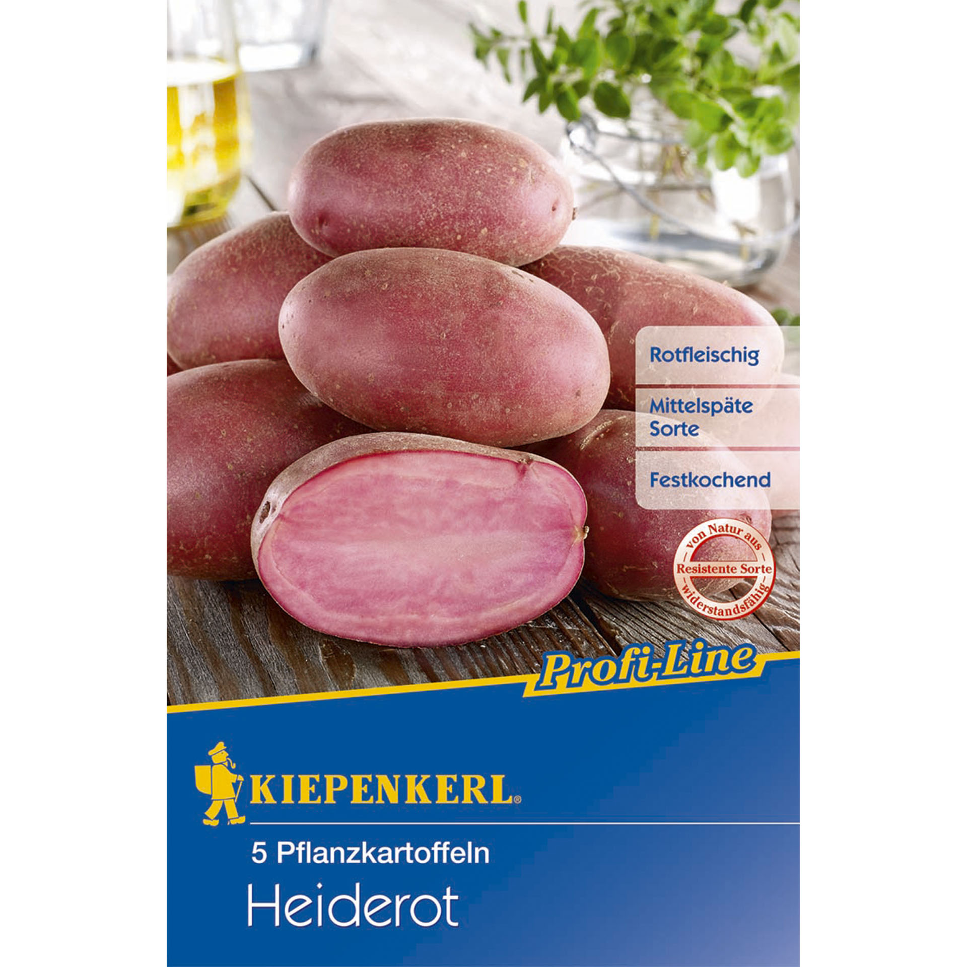 Pflanzkartoffeln Heiderot Saatkartoffeln festkochend mittelspäte Sorte