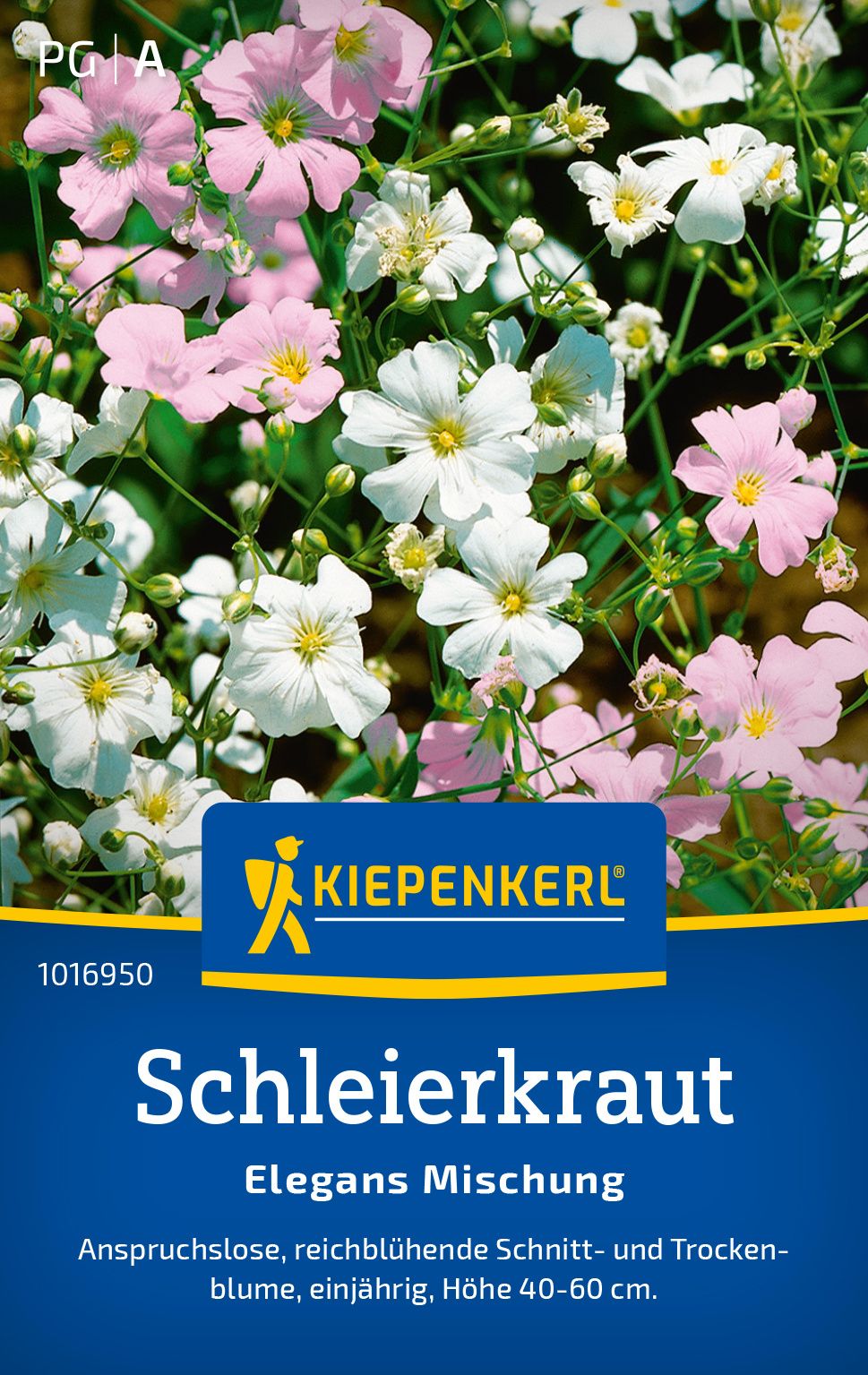Werbung, Plakat, Blume, Pflanze, Blütenblatt