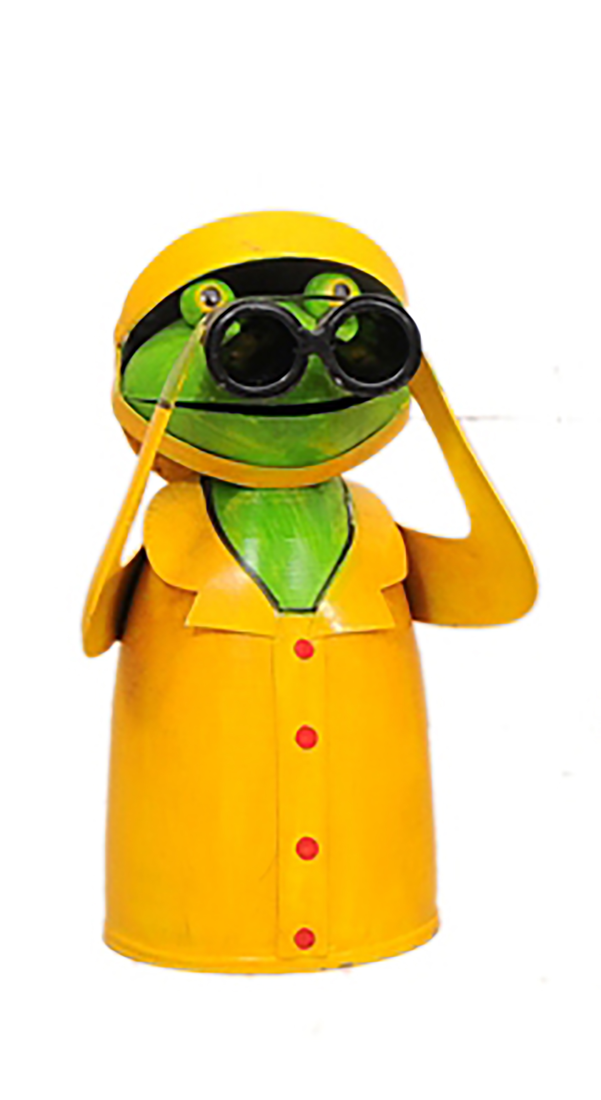 Zaunhocker Frosch "Fischers Fritz" mit Fernglas