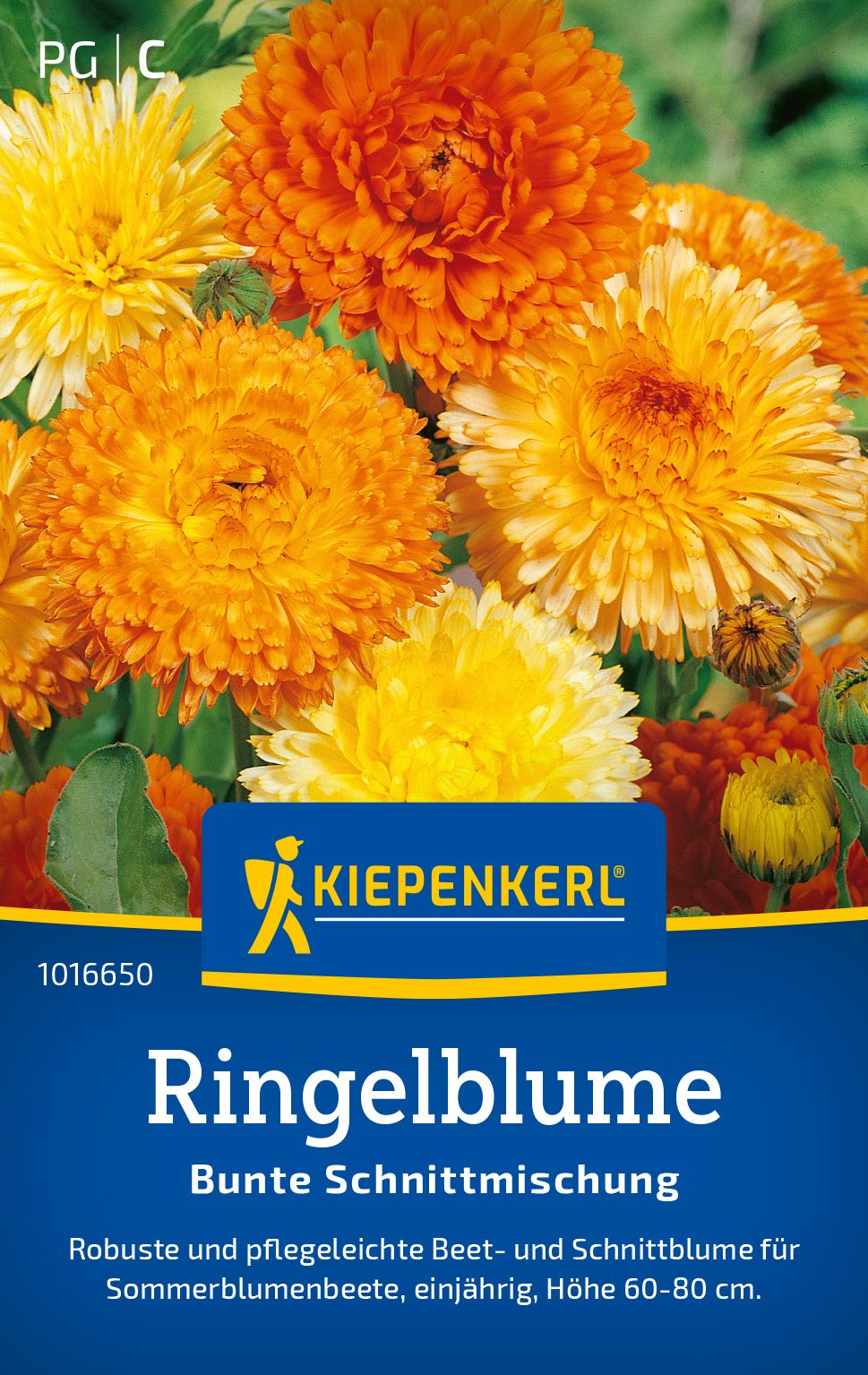 Werbung, Plakat, Kräuter, Blume, Blütenblatt
