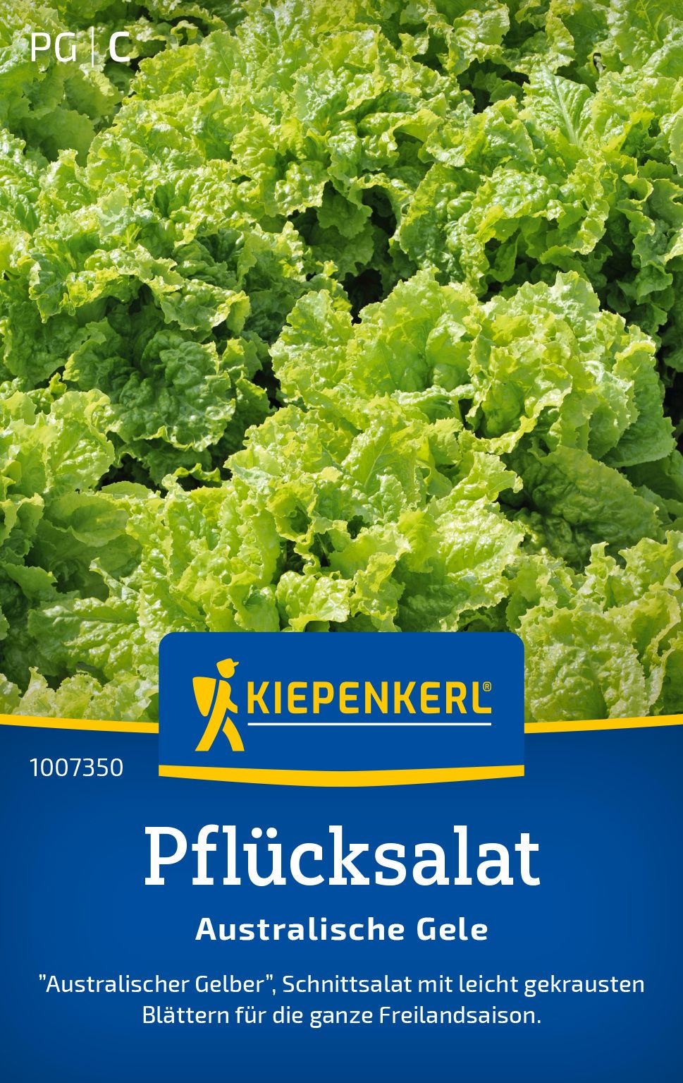 Essen, Kopfsalat, Produzieren, Gemüse, Werbung
