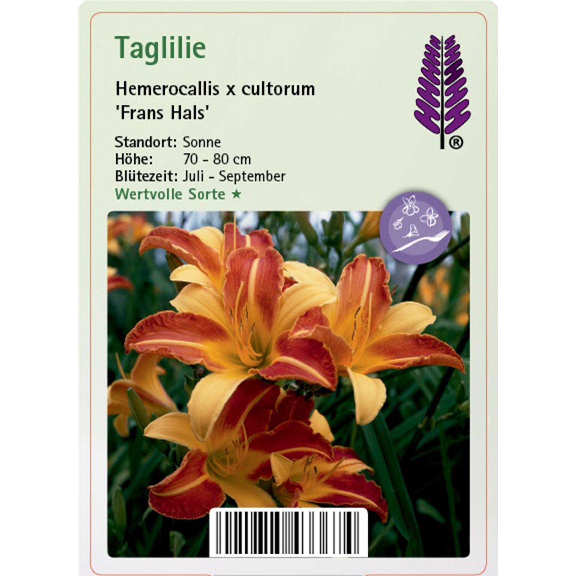 Blume, Pflanze, Blütenblatt, Ein anderes, Text