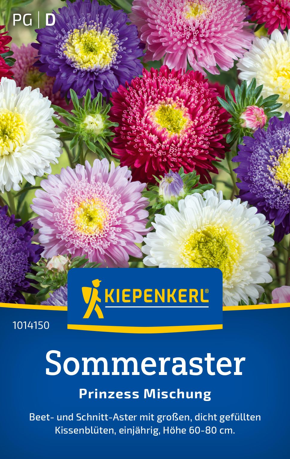 Werbung, Plakat, Gänseblümchen, Blume, Dahlie