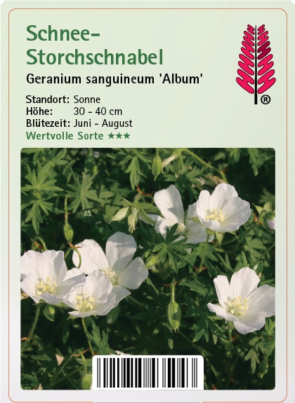 Schnee-Storchschnabel - Geranium sanguineum 'Album'