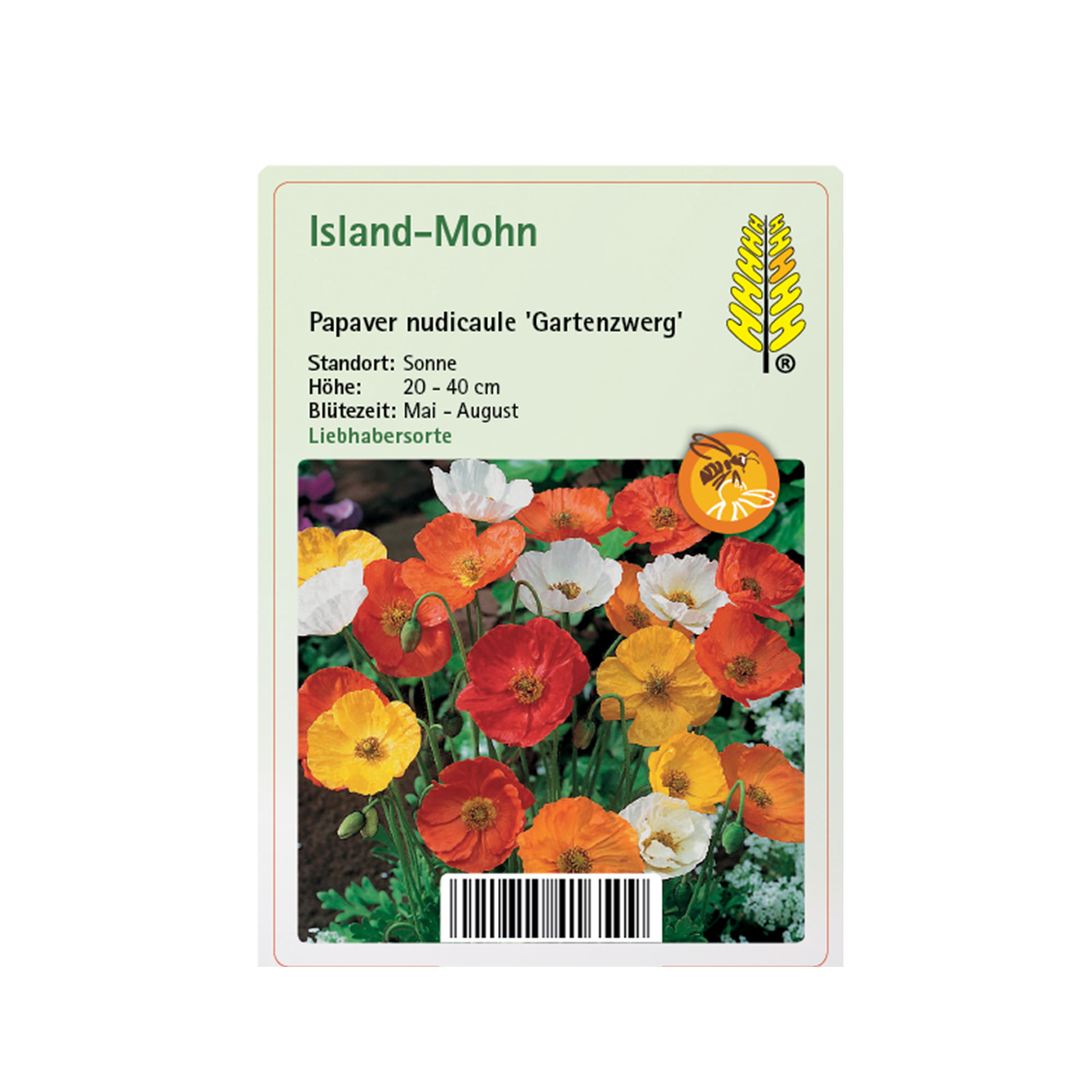 Island Mohn - Papaver nudicaule 'Gartenzwerg'