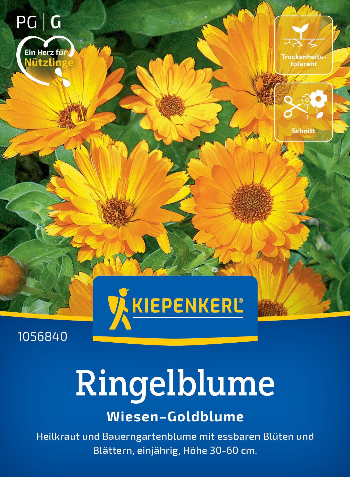 Werbung, Plakat, Blume, Kräuter, Gänseblümchen