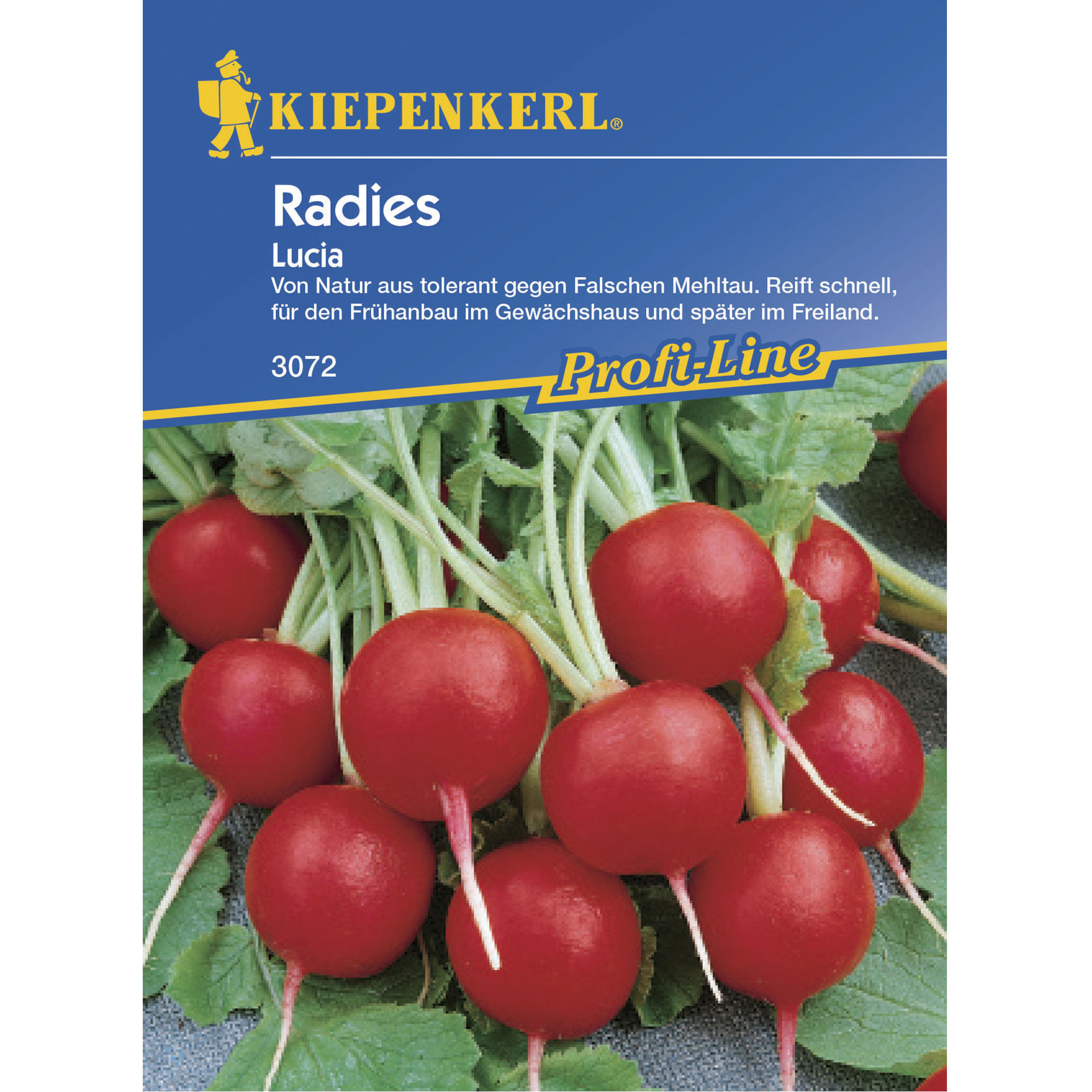 Radies Lucia F1, Gemüsesamen