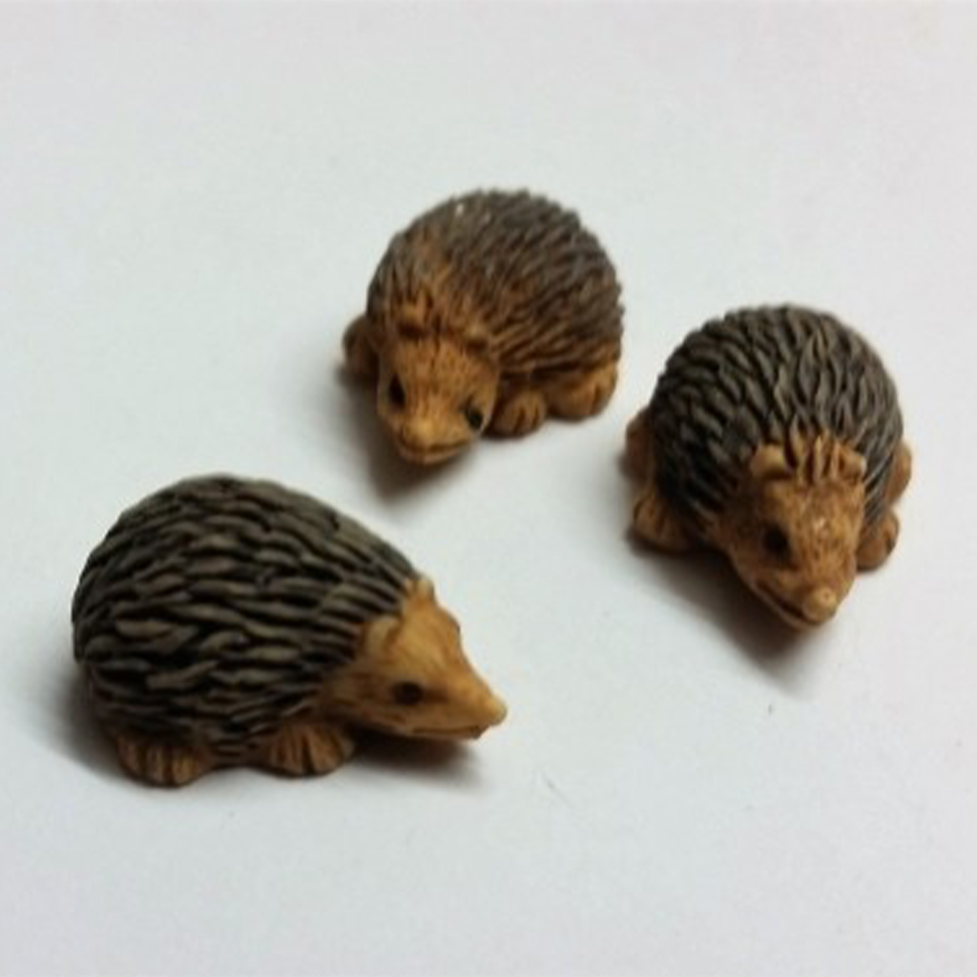 Igel Set, Tier, Igel, Säugetier, Ratte, Nagetier, Tier, Igel, Säugetier, Ratte, Nagetier