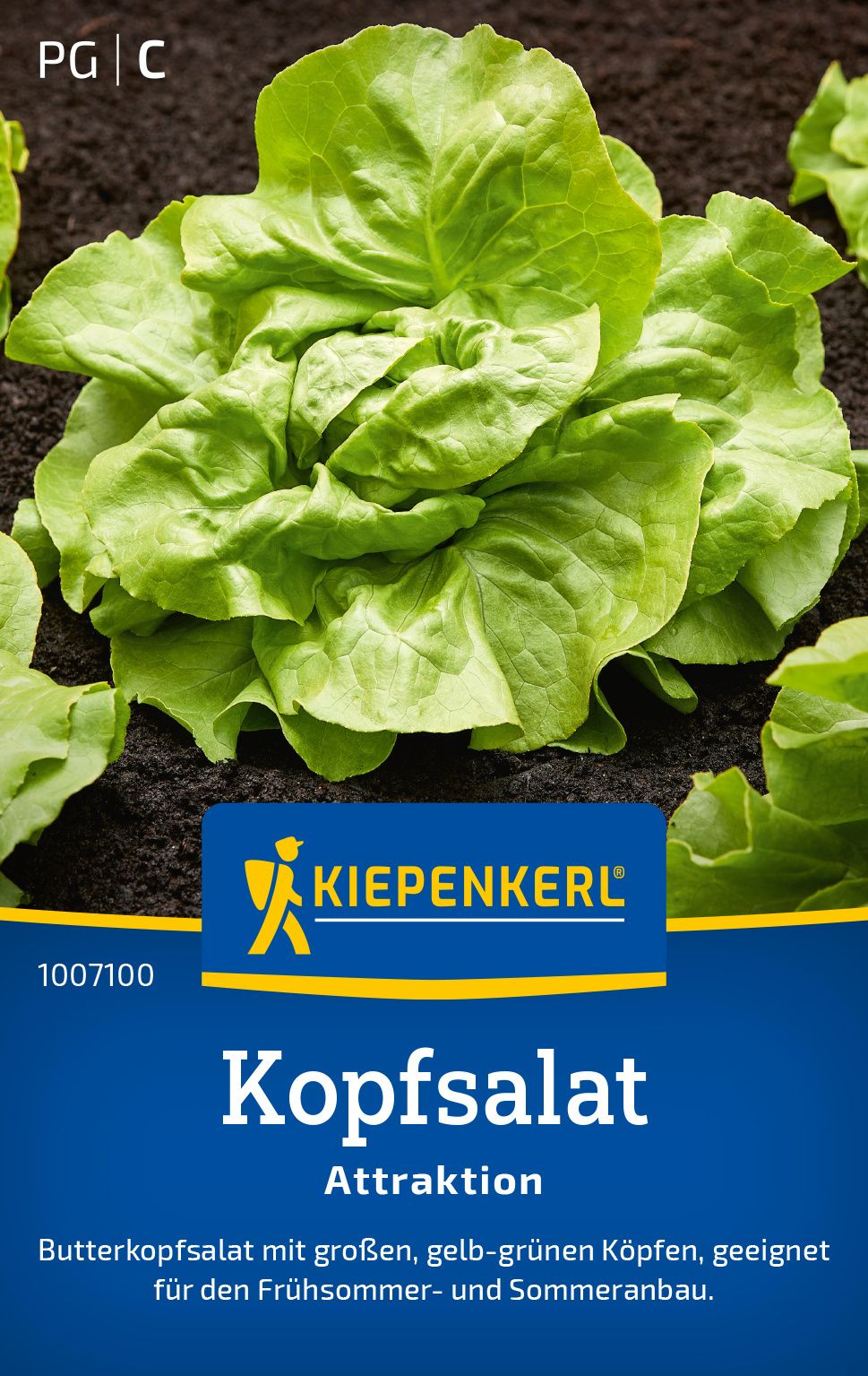 Pflanze, Werbung, Kopfsalat, Produzieren, Plakat