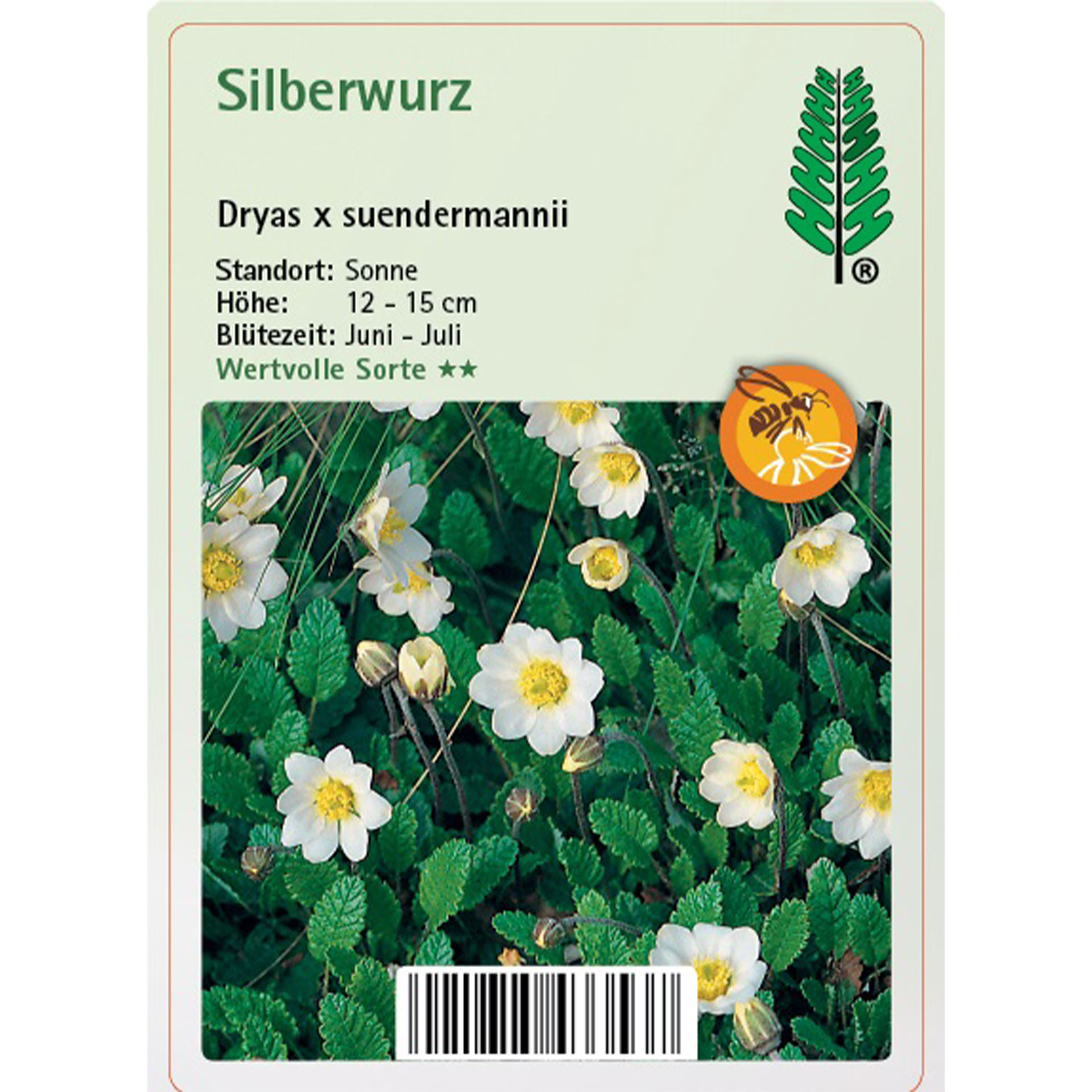 Kräuterig, Blume, Text, Blatt, Anemone