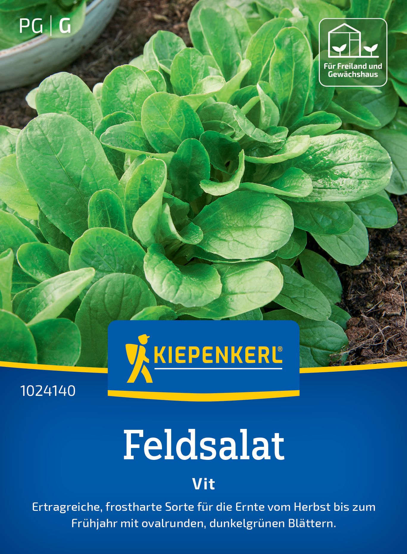Feldsalat Vit