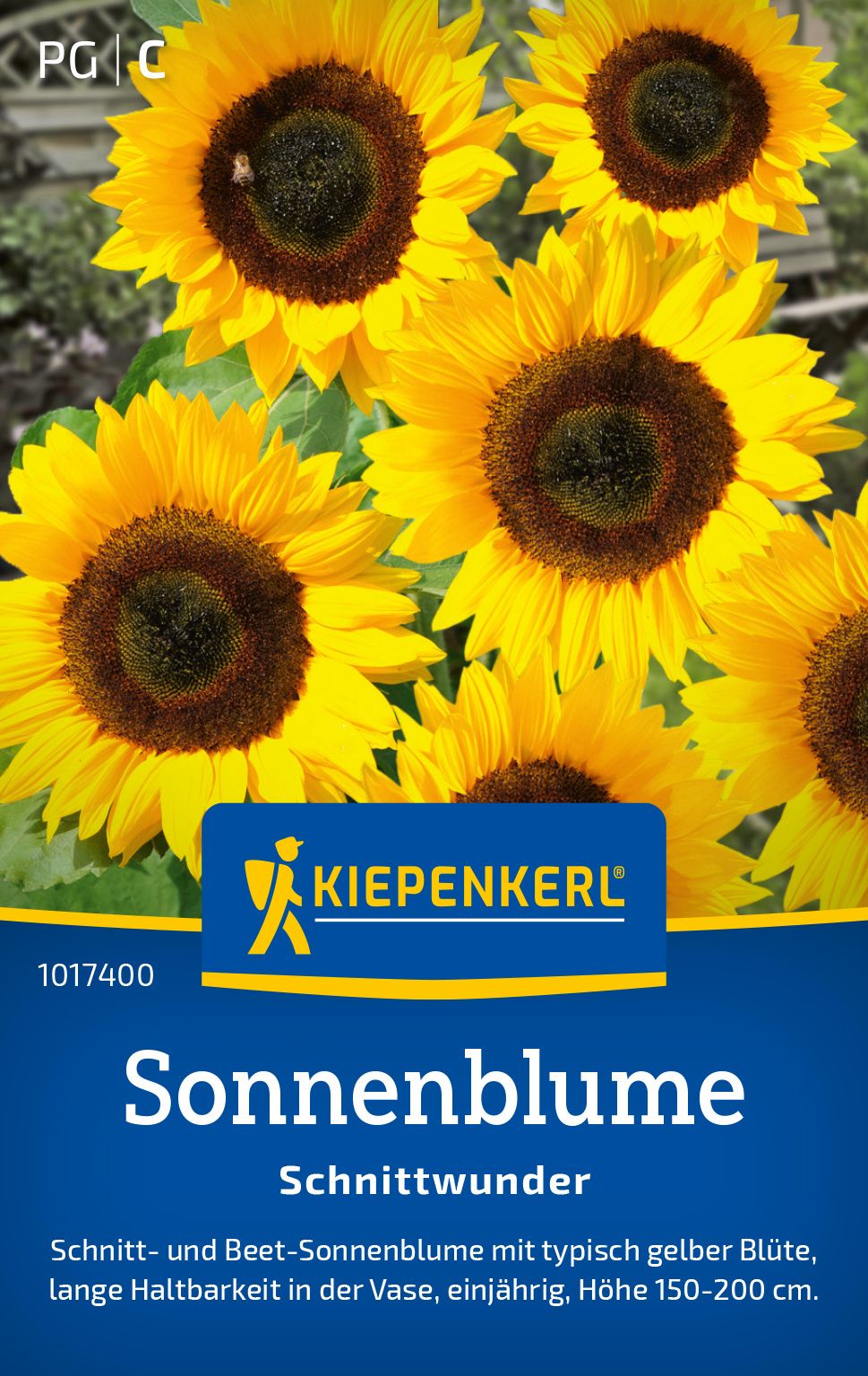 Sonnenblume Schnittwunder PG-C