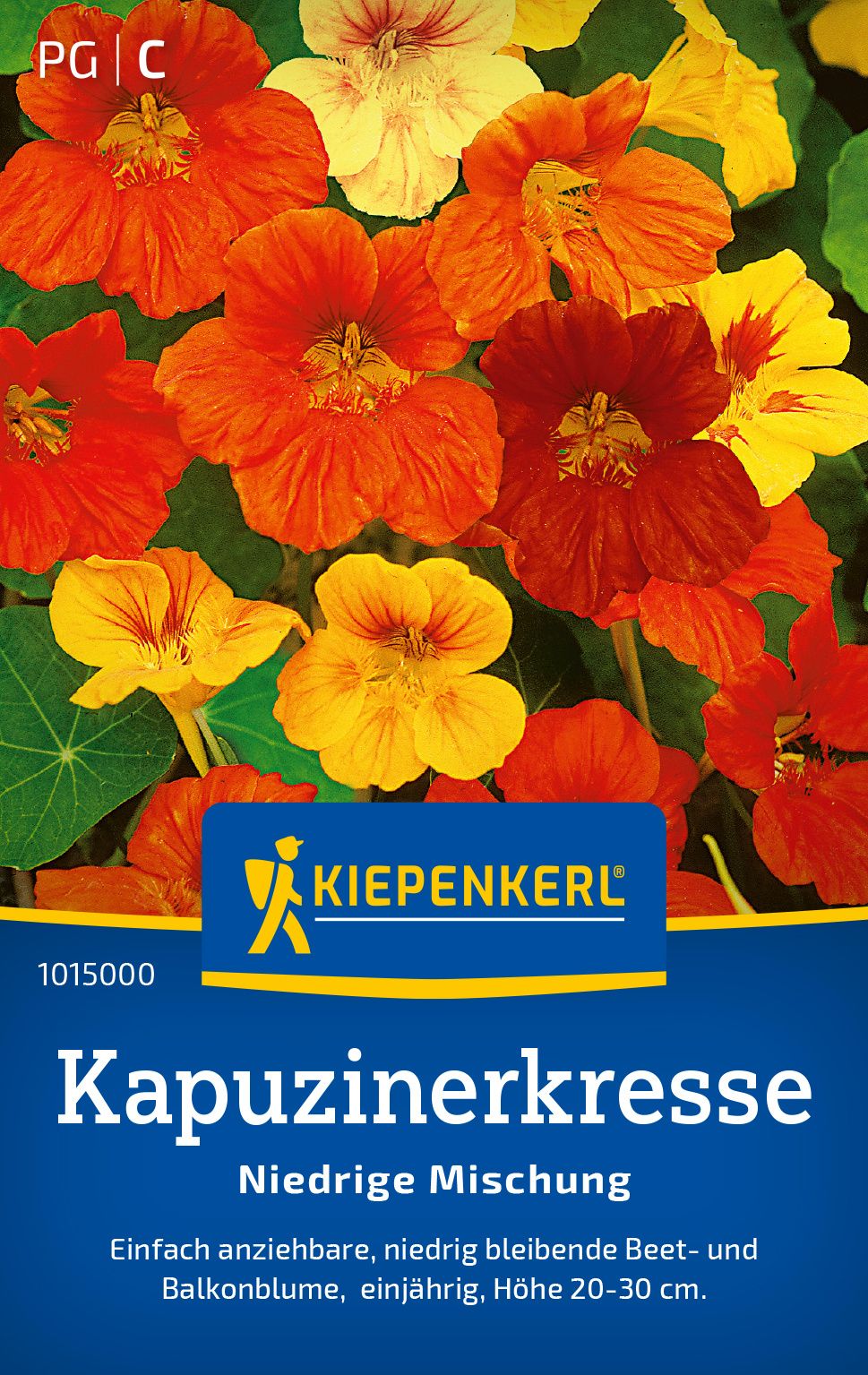 Werbung, Plakat, Blume, Pflanze, Blütenblatt