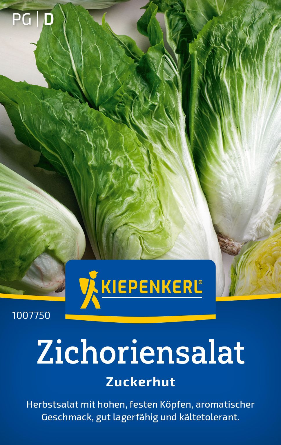 Pflanze, Essen, Produzieren, Kopfsalat, Gemüse