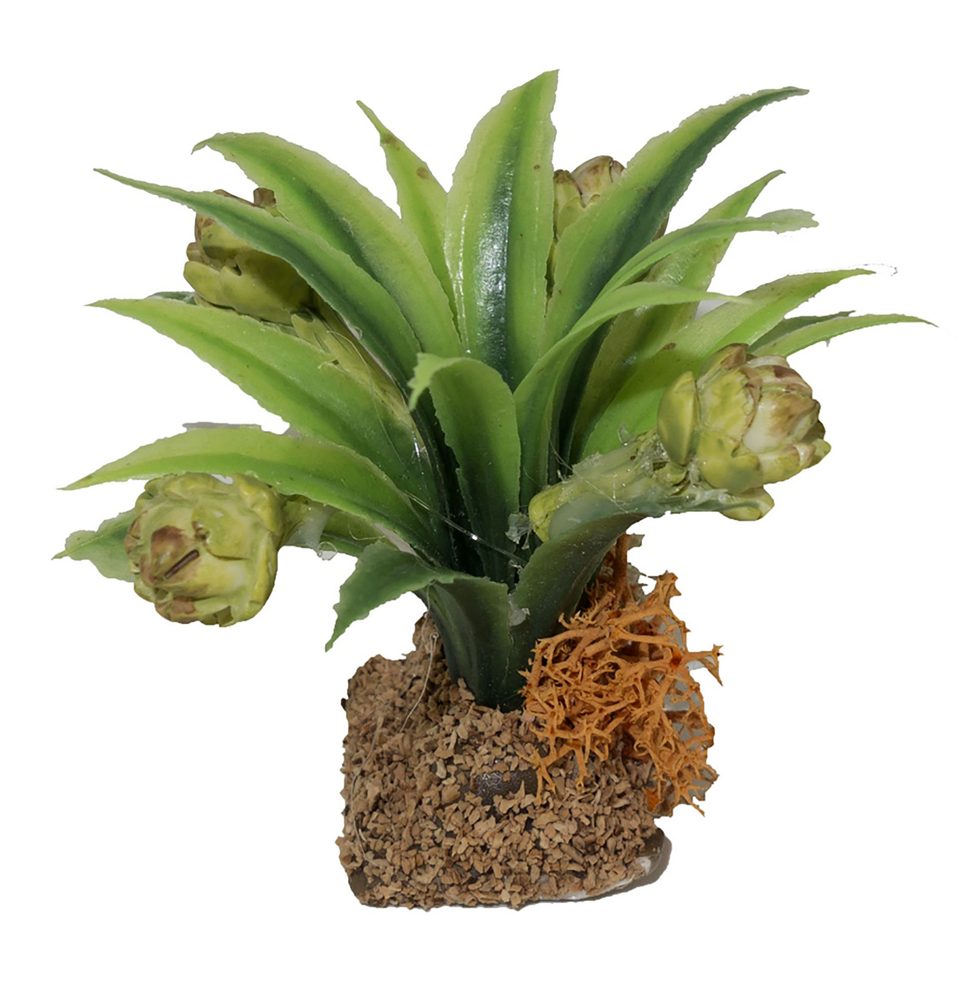 Artischockenpflanze Krippenbotanik für eine realistische Krippenlandschaft