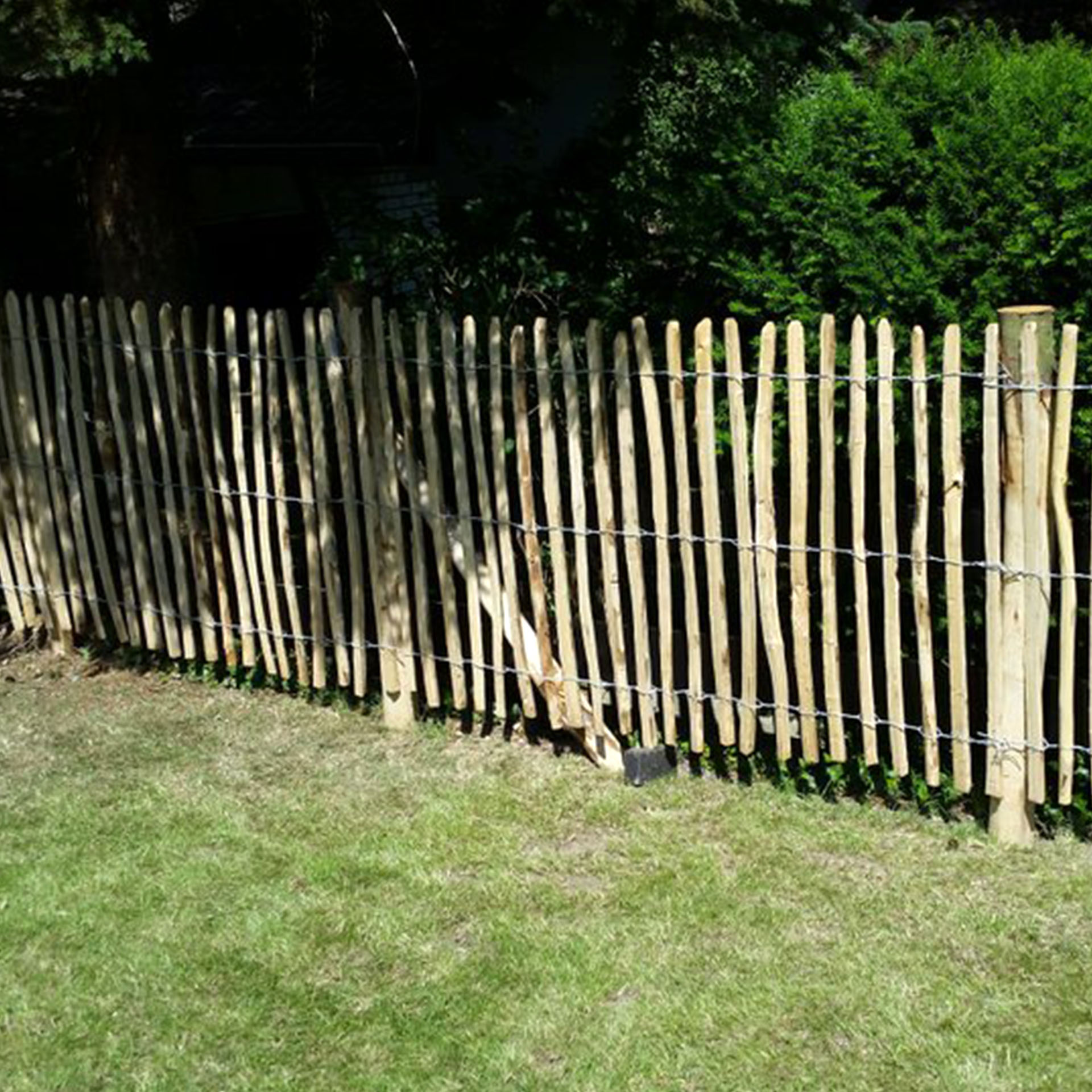Holzzaun trennt Wiese von Wald, Holzlattenzaun, Holzzaun, Zierzaun, Spaltzaun, Barrierezaun, Holzzaun, Zäune, Holzwand, Spalzaun, Gartenzaun