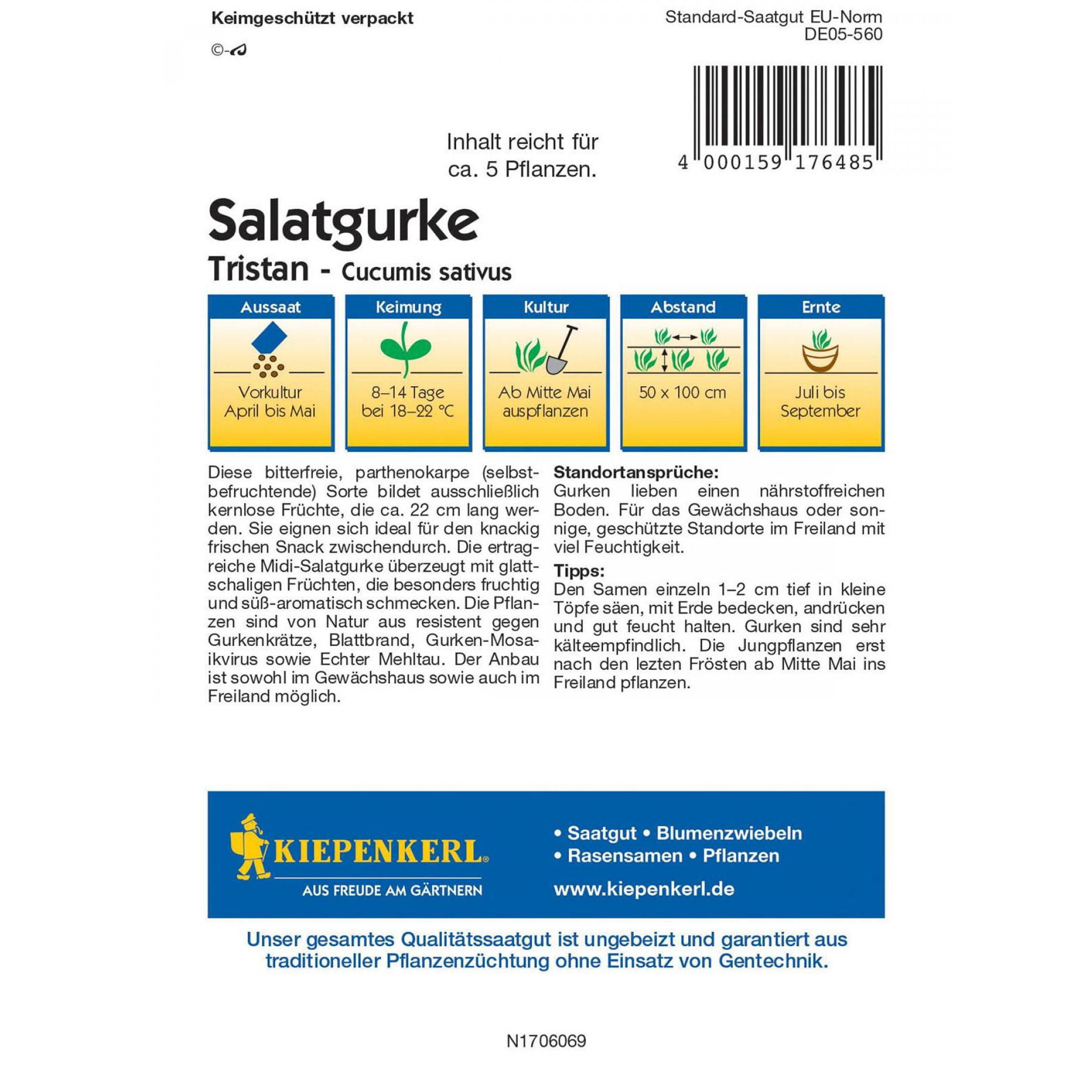 Gemüsesamen Salatgurke Sämereien Saatgut