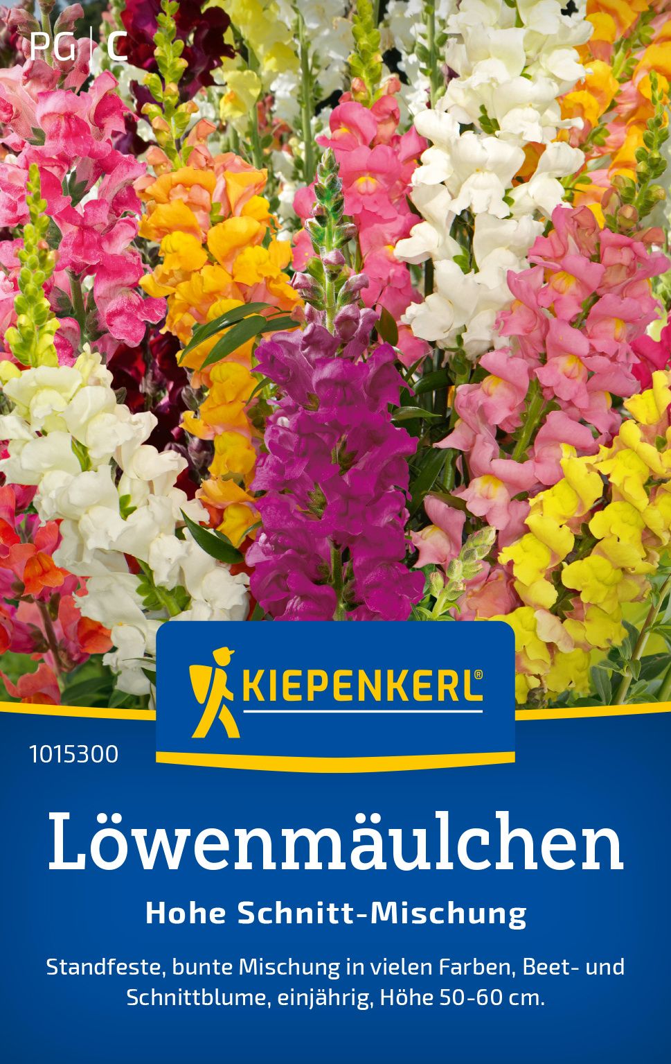 Werbung, Blume, Pflanze, Plakat