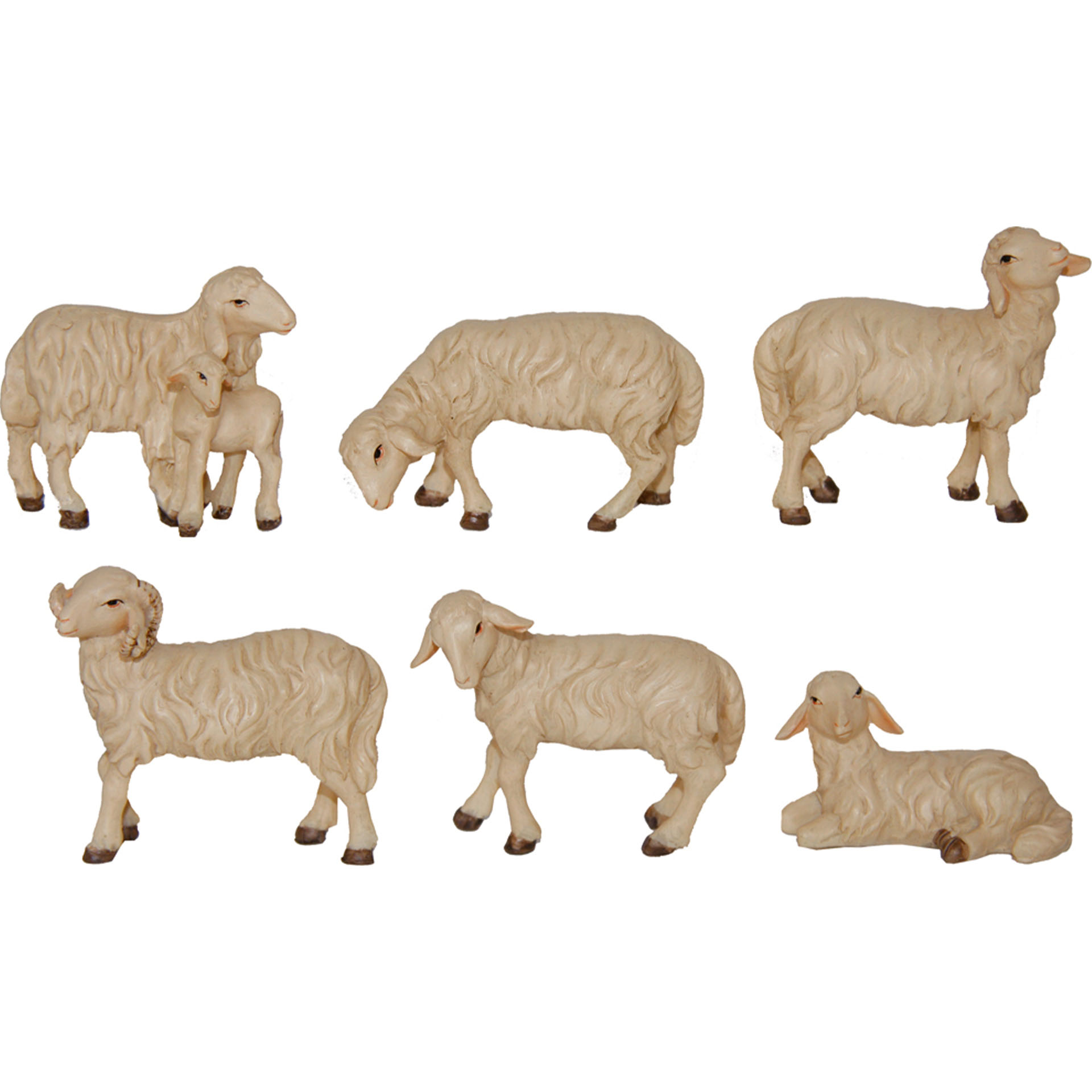 Vieh, Säugetier, Schaf, Hund, Haustier, Vieh, Säugetier, Schaf, Hund, Haustier