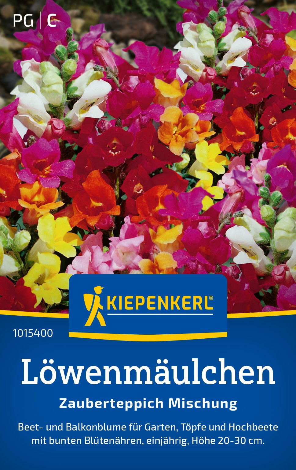 Werbung, Plakat, Blume, Pflanze, Blütenblatt