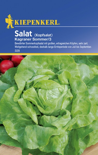 328_Kopfsalat_Kagraner_Sommer