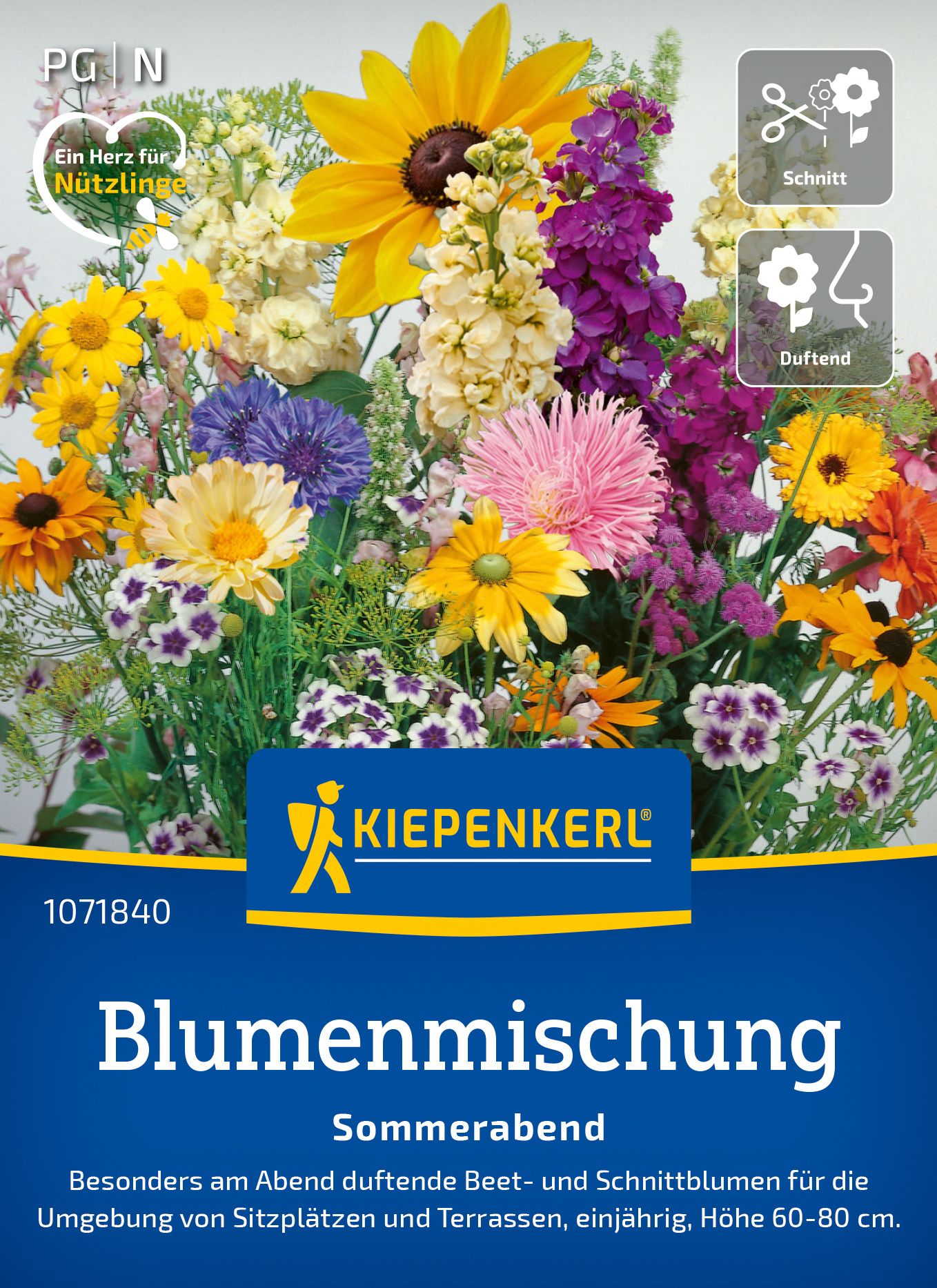 Werbung, Plakat, Gänseblümchen, Blume, Kräuterig