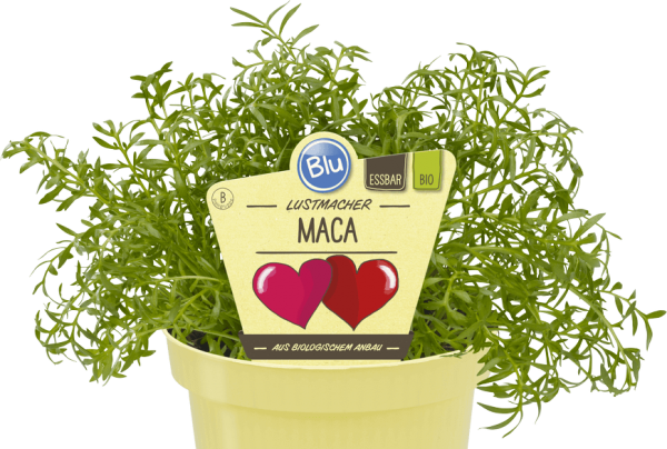 BIO Maca Lustmacher