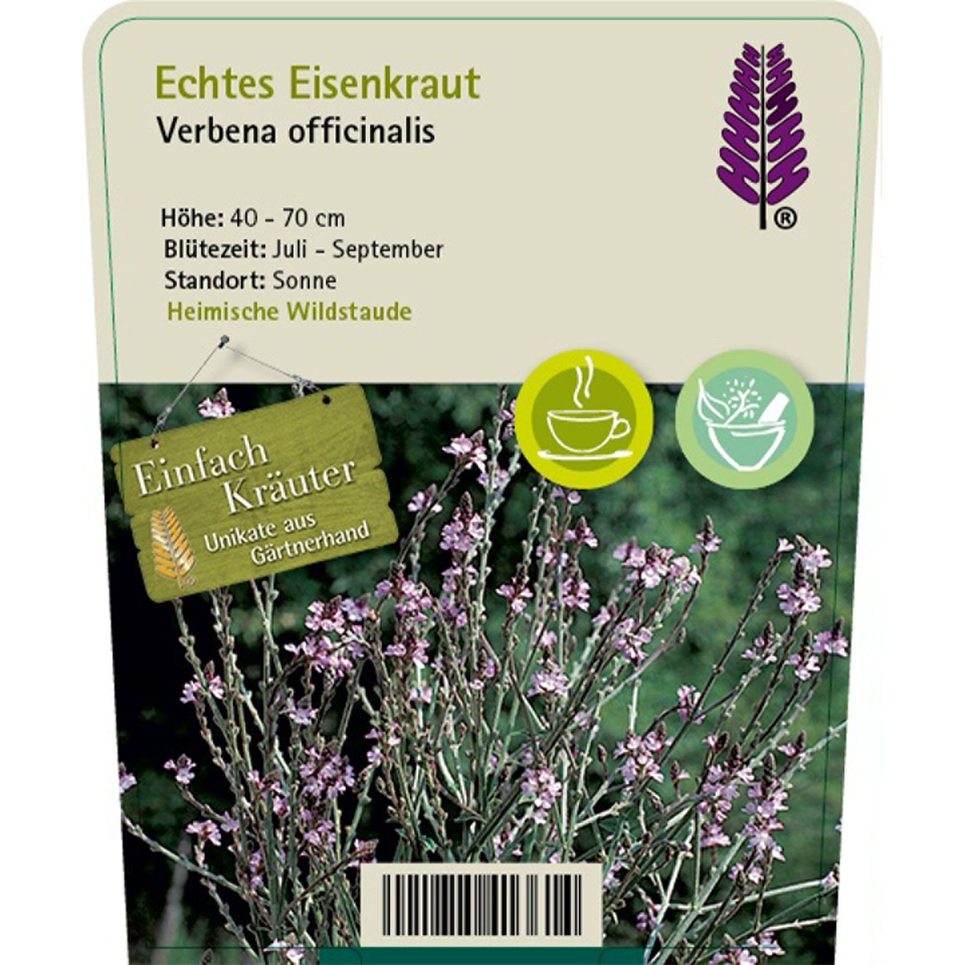 blühendes eisenkraut auf pflanzstecker, kurze beschreibung, Kräuterig, Pflanze, Blume, Gras, Lavendel