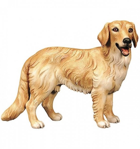Krippenfigur Golden Retriever Bethlehem Krippe color