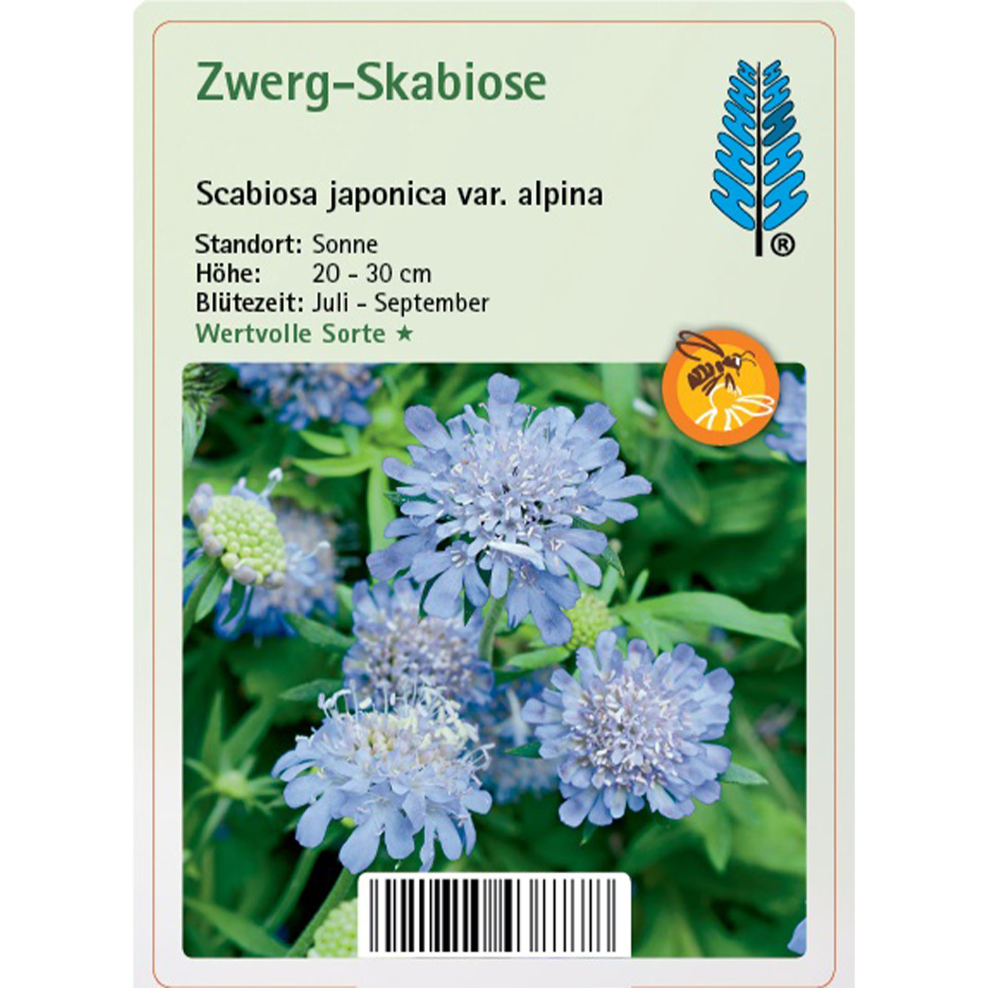 Text, Blume, Pflanze