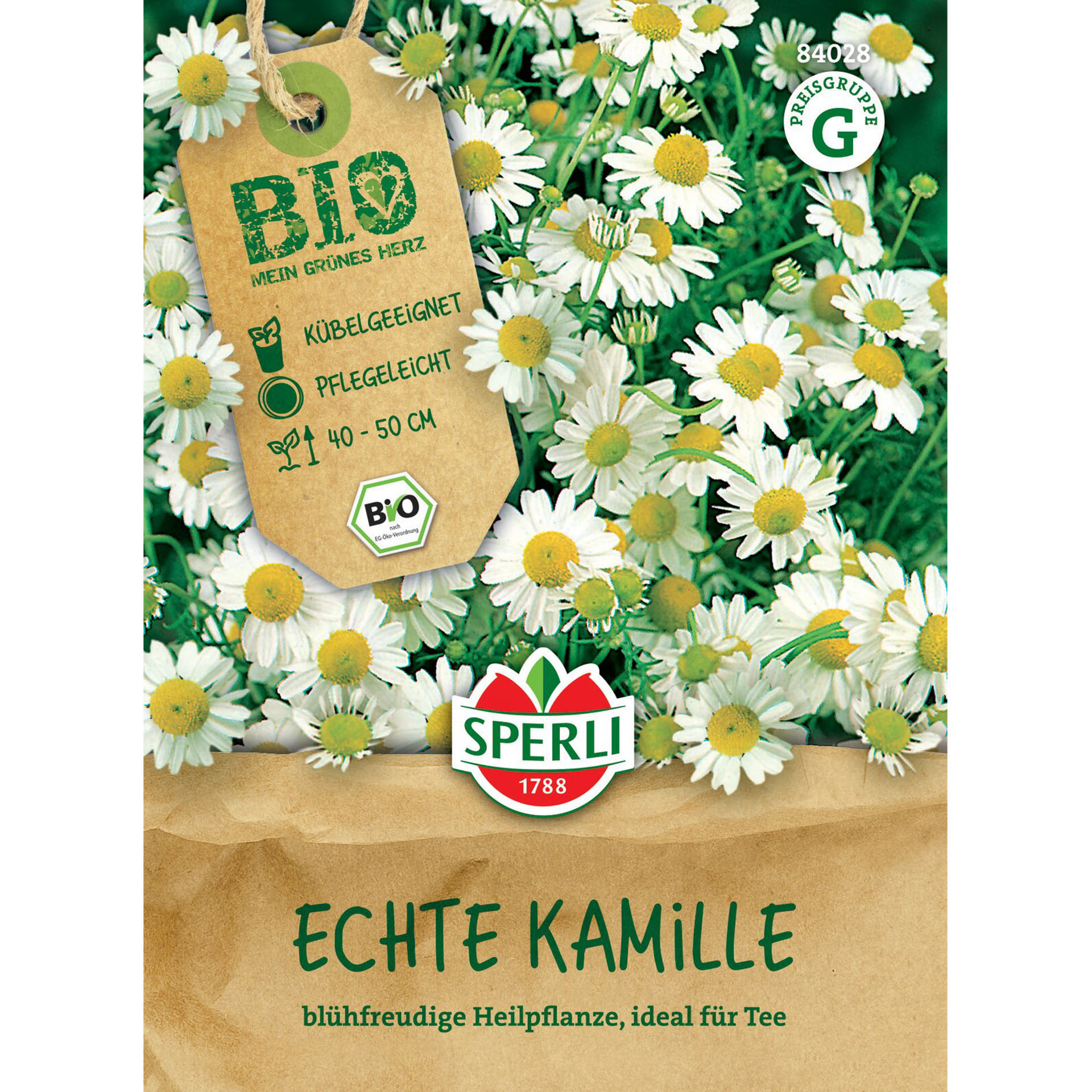 Gänseblümchen, Blume, Pflanze, Kräuterig, Kräuter