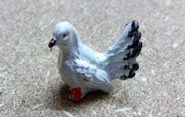 Taube weiß links schauend