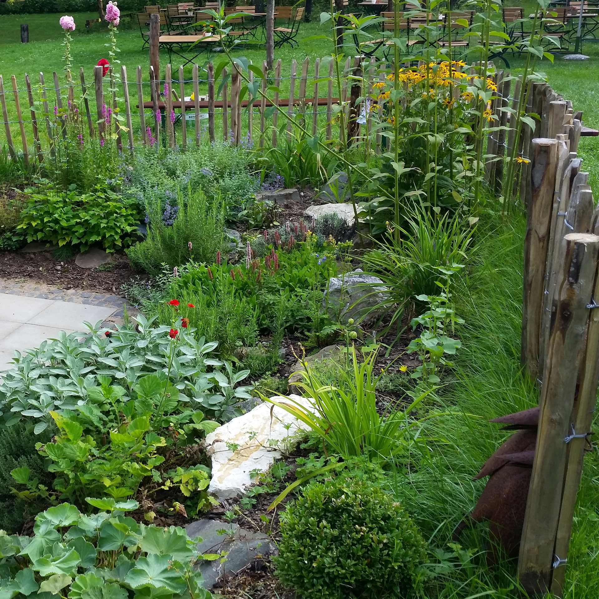 eingezäuntes staudenbeet, blühende blumen, Blumenbeet, Gartenbeet, Zierpflanzen, Holzzaun, Steine, Gräser, Gartenbeet, Blumenbeet, Zierpflanzen, Ziergras, Holzzaun