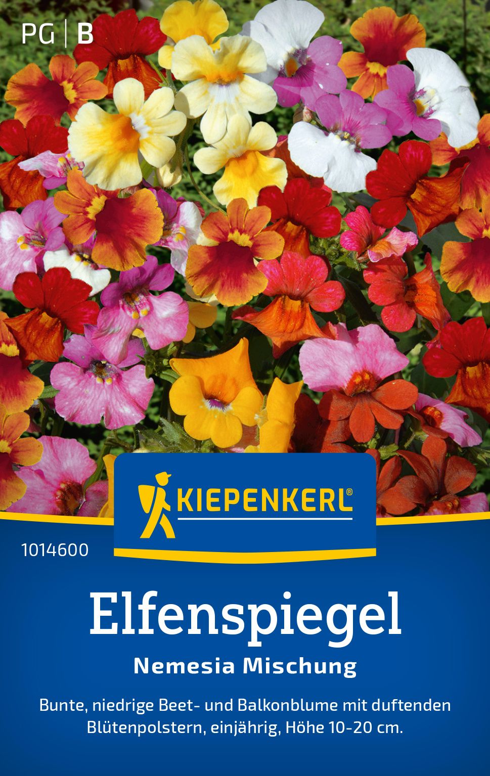 Elfenspiegel Nemesia Mischung PG-B