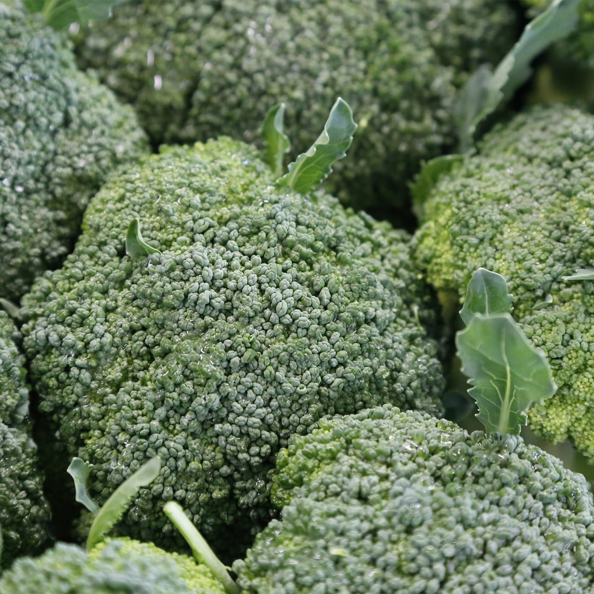 Brokkoli, Essen, Pflanze, Produzieren, Gemüse