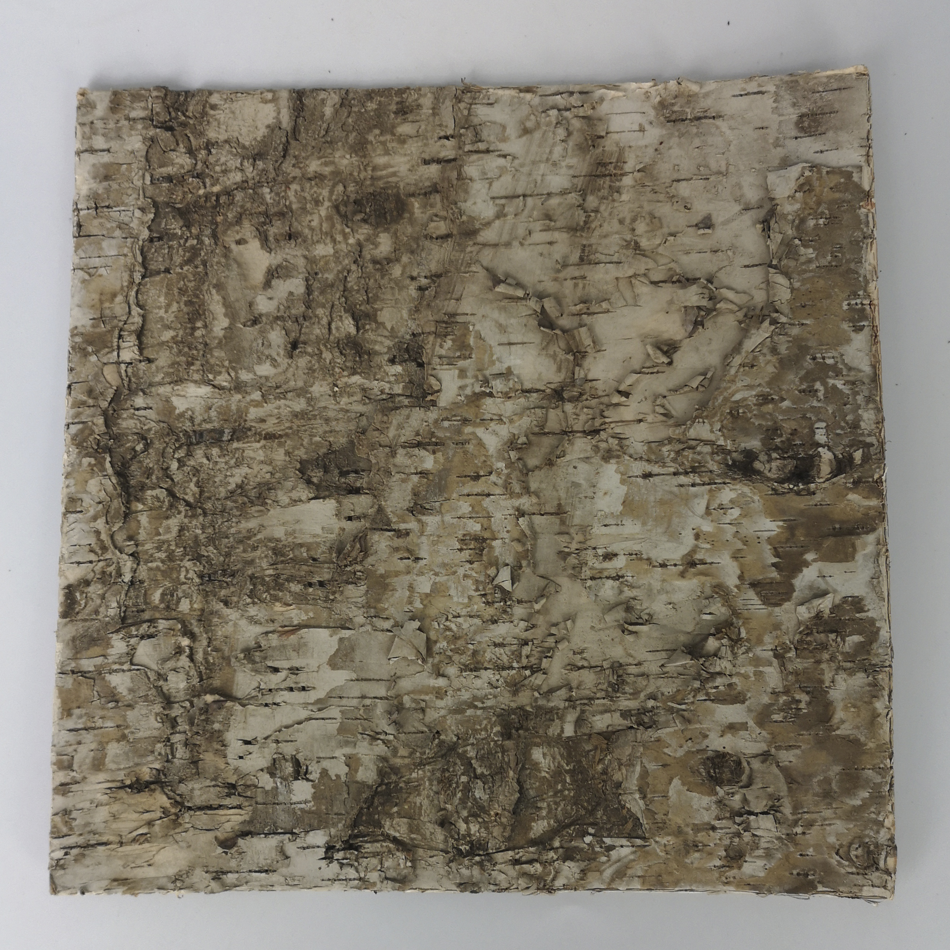 Platte aus Birkenrinde zur Krippendekoration