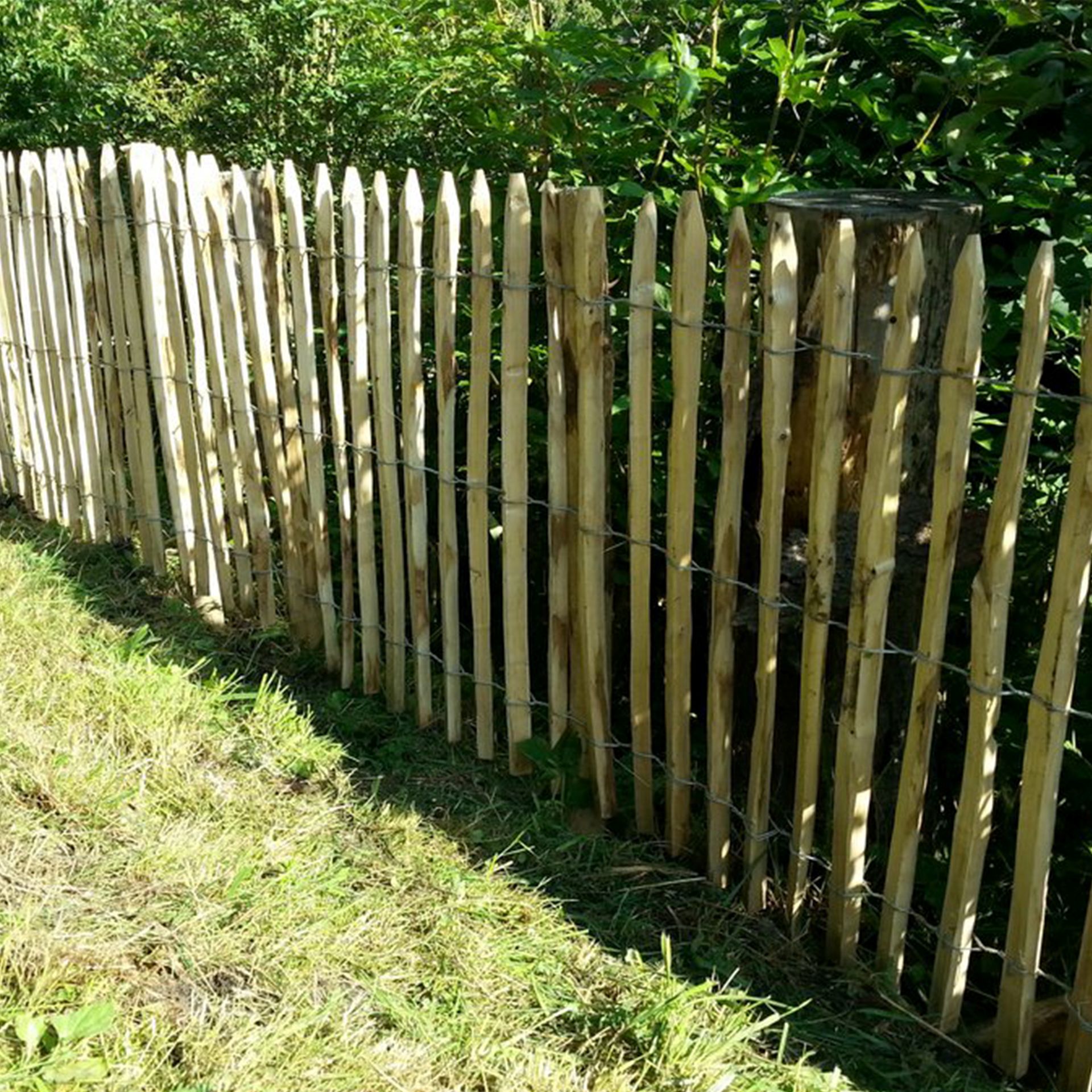 Zaun aus Staketen, Abgrenzung Bäume und Wiese, , Holzzaun, Zäune, Holzlatten, Stacheldraht, Gartenzaun, holzfence, zweigzaun, holzlatten, drahzaun, staketenzaun