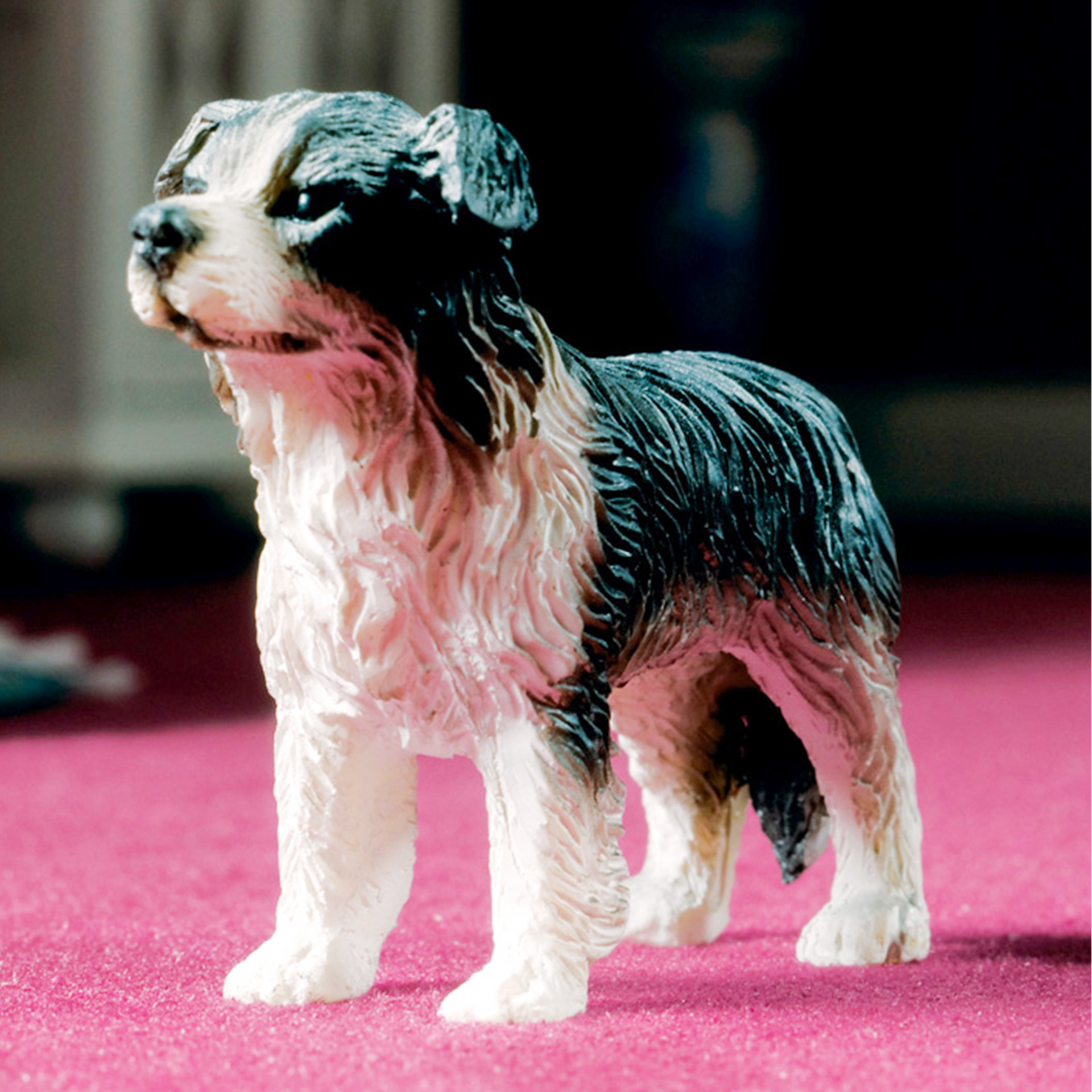 Collie Wichtelzubehör