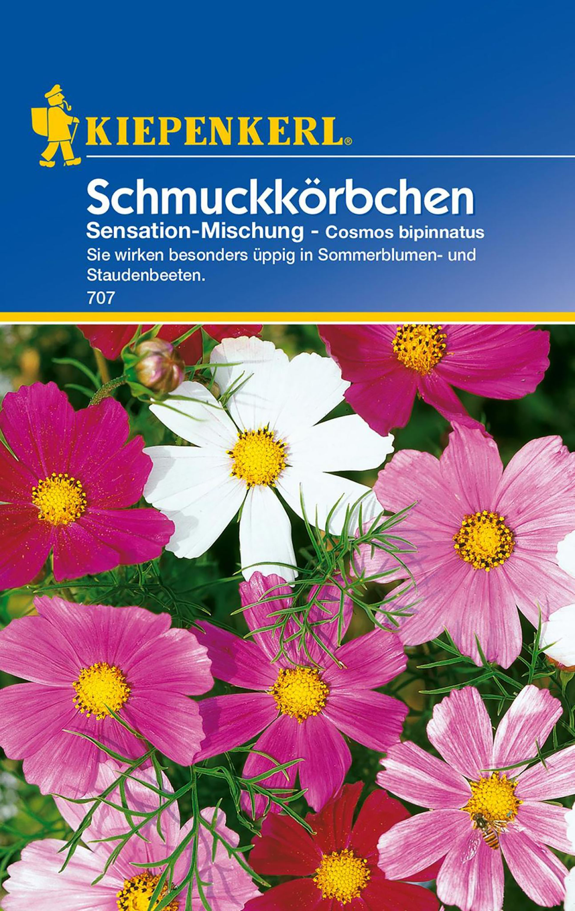 Schmuckkörbchen Sensation-Mischung PG-C