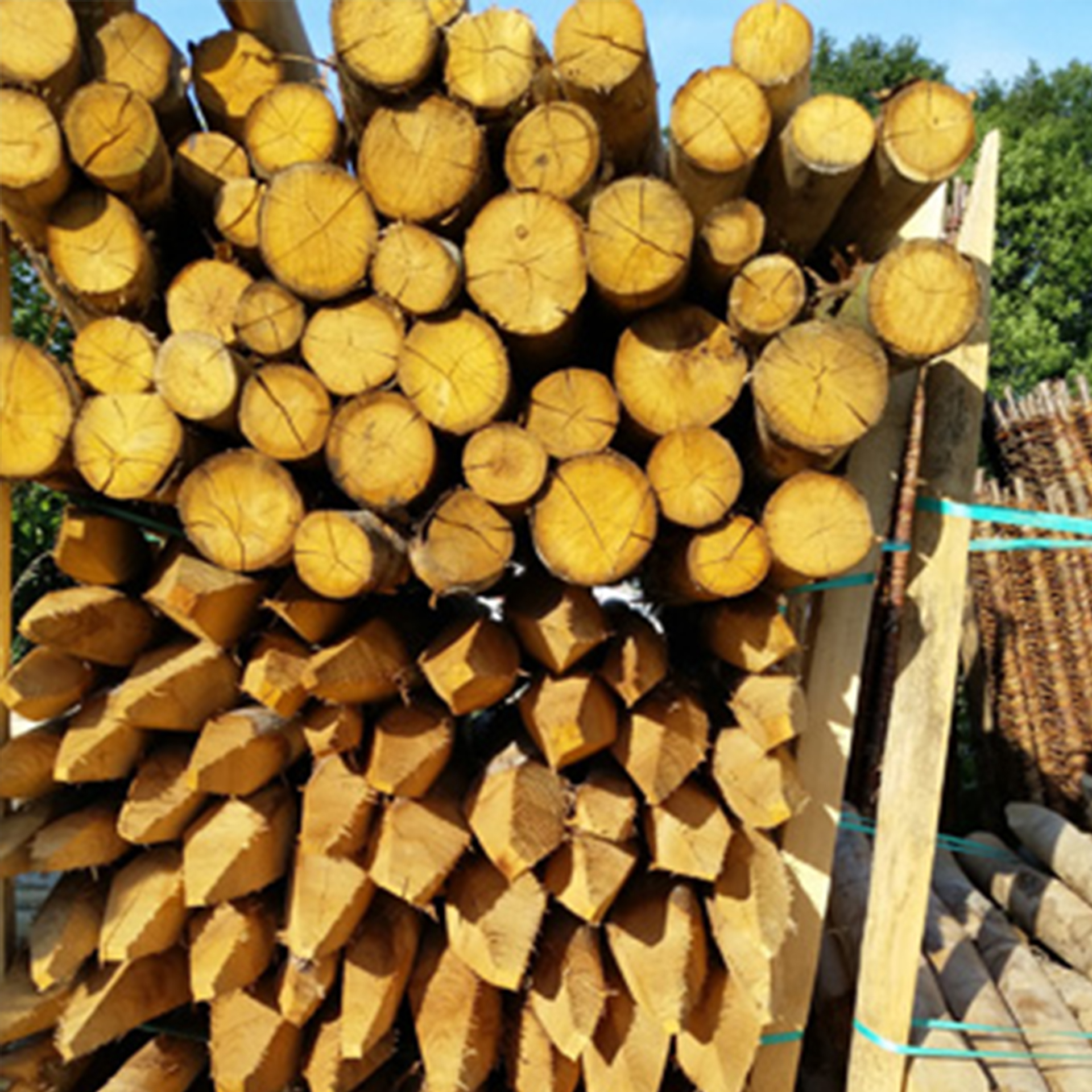 Kastanienholzpfosten 150cm/8-10cm FSC 100%