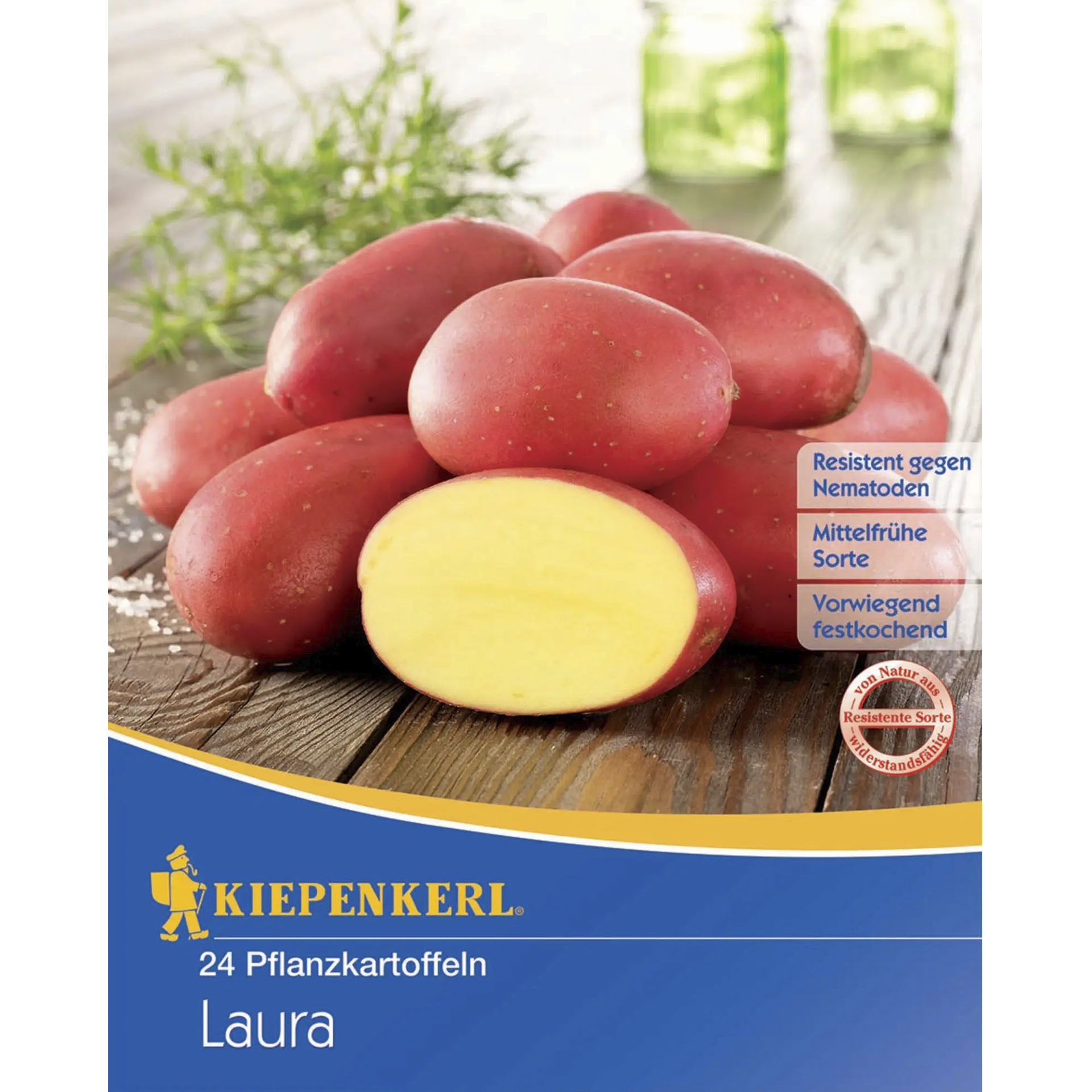 Saatkartoffeln in Beutel mit Pappdeckel