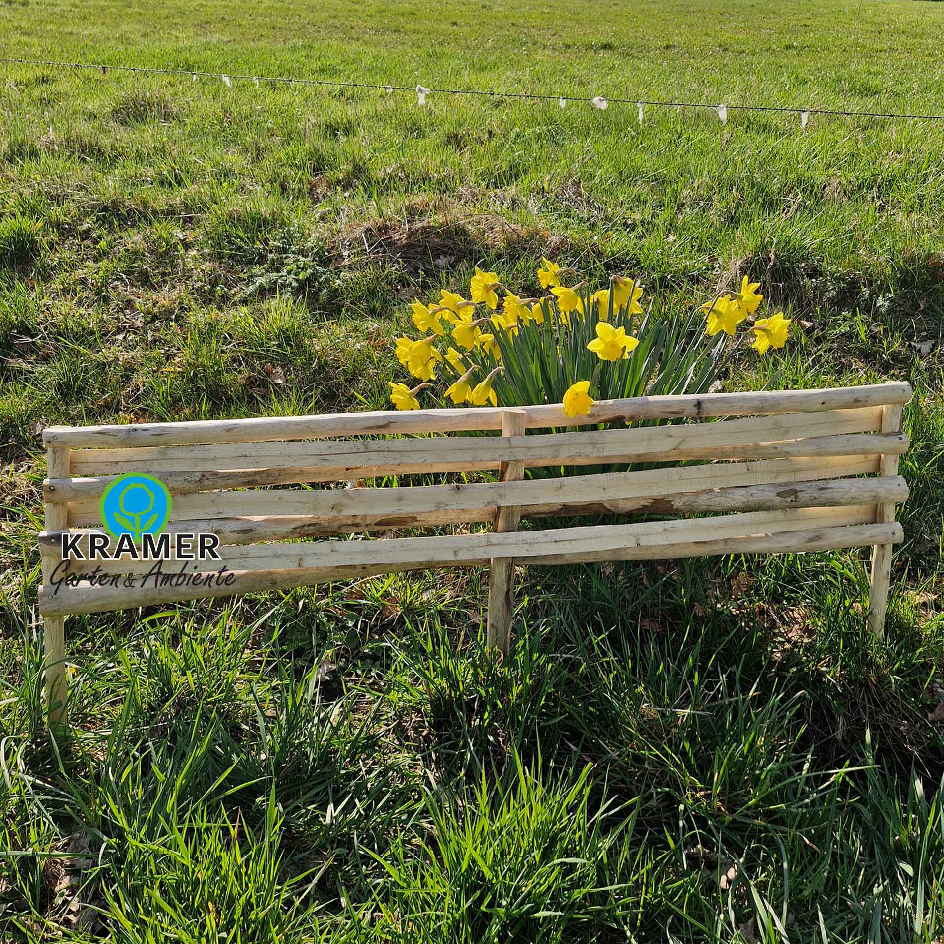 steckzaun auf wiese, holzbank, gartenbank, narcissen, narzissen, blumenbeet