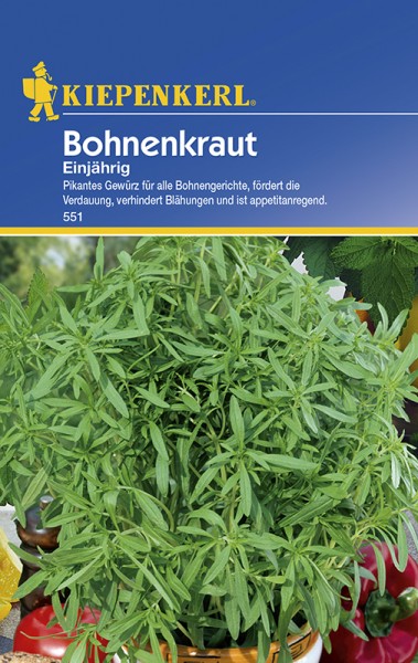 Bohnenkraut einjährig
