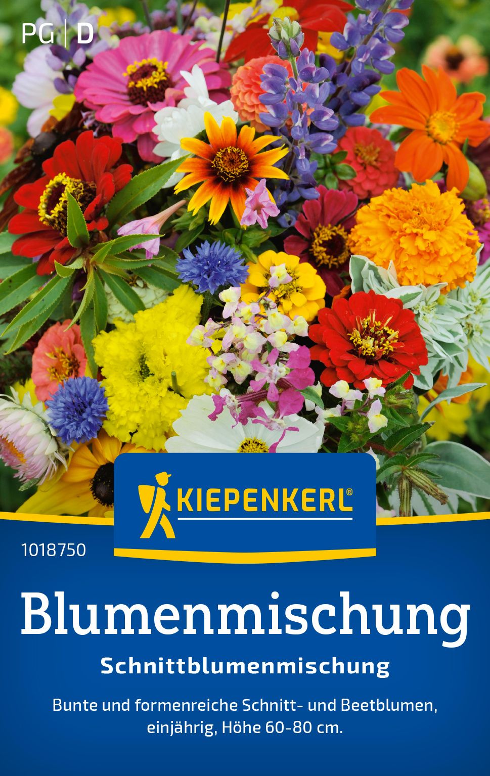 Werbung, Plakat, Blume, Pflanze, Blumen-Arrangement