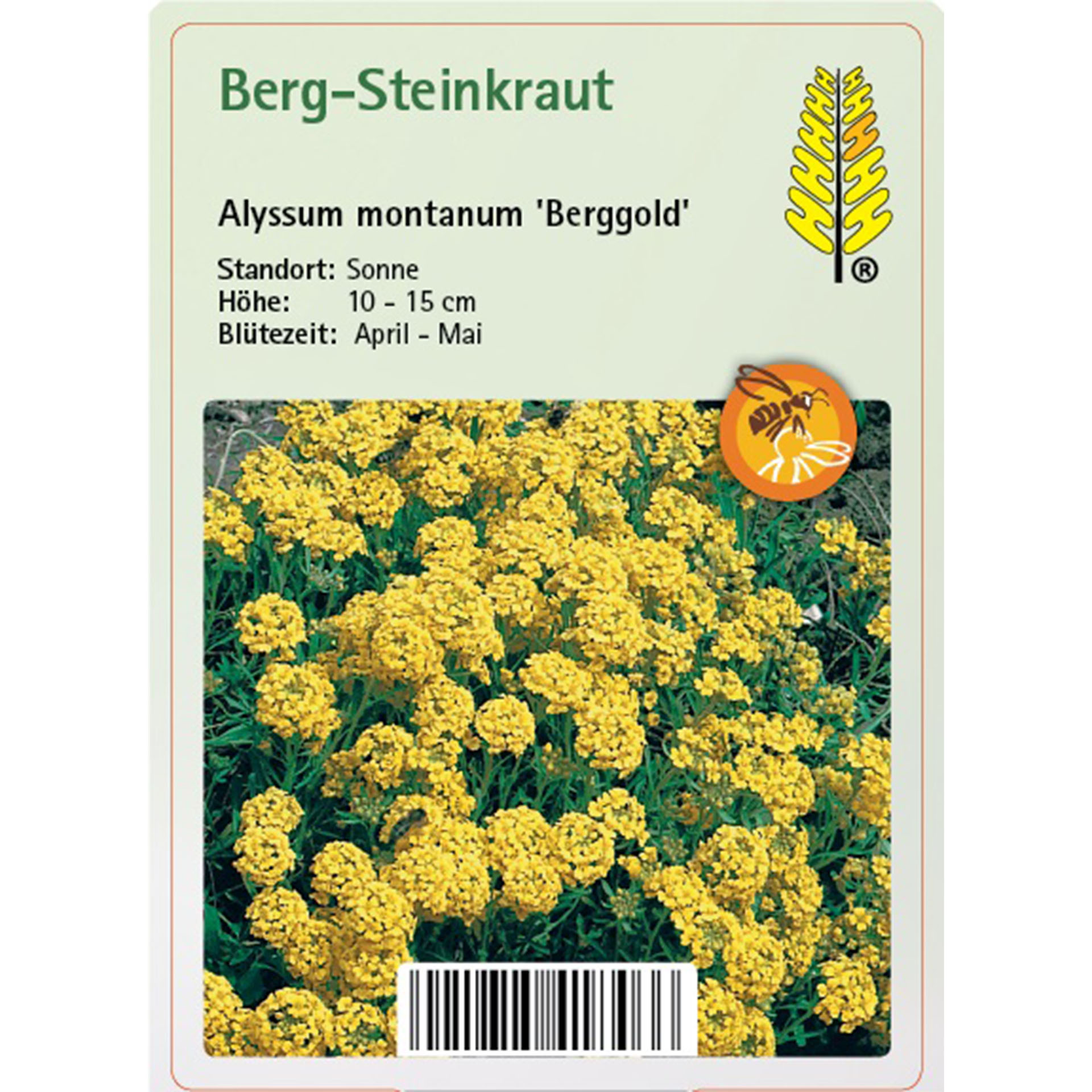 Blume, Pflanze, Bewuchs, Blütenblatt