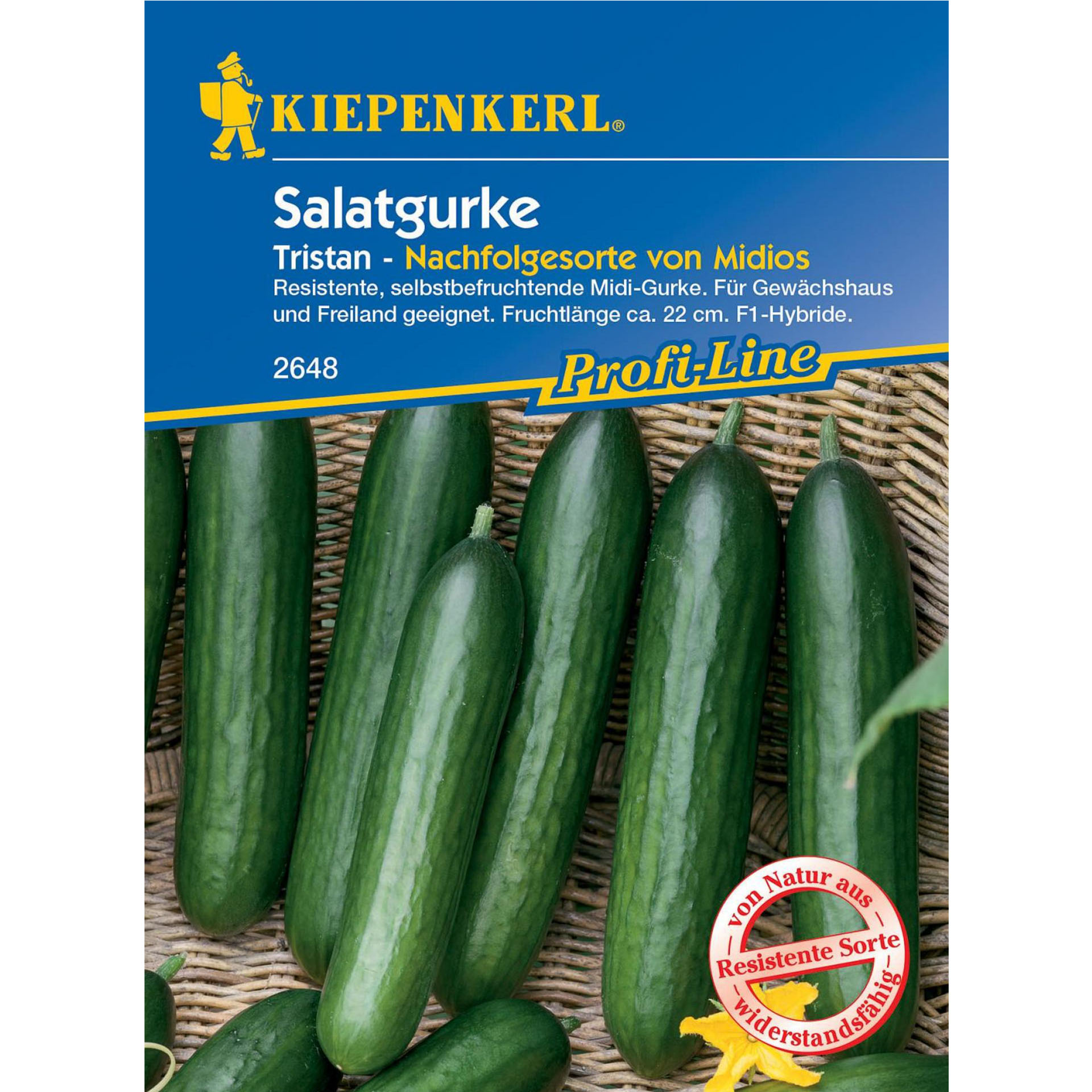 Gemüsesamen Salatgurke Sämereien Saatgut