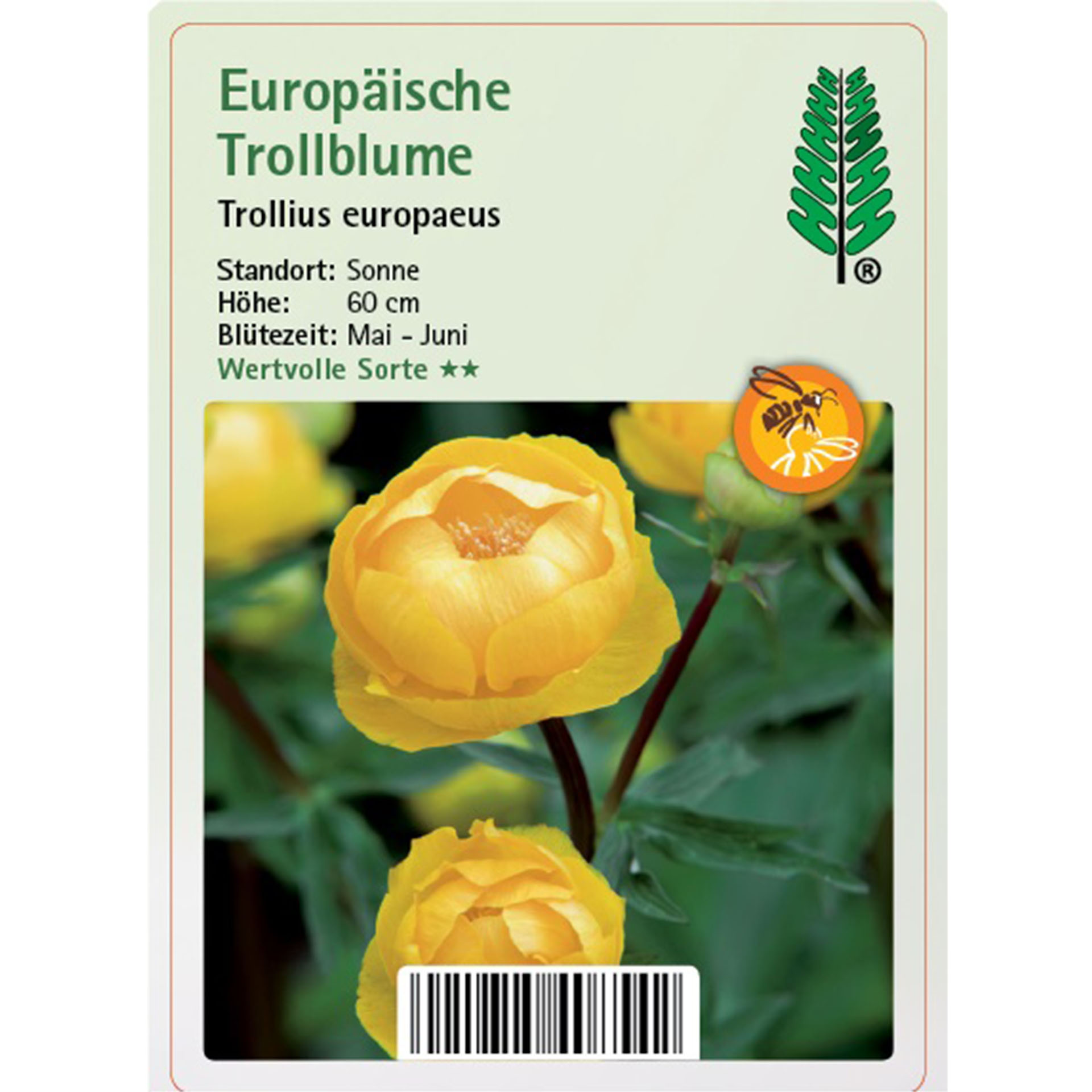 Pflanzenstecker mit kurzen Infos, mit leuchtenden Blüten